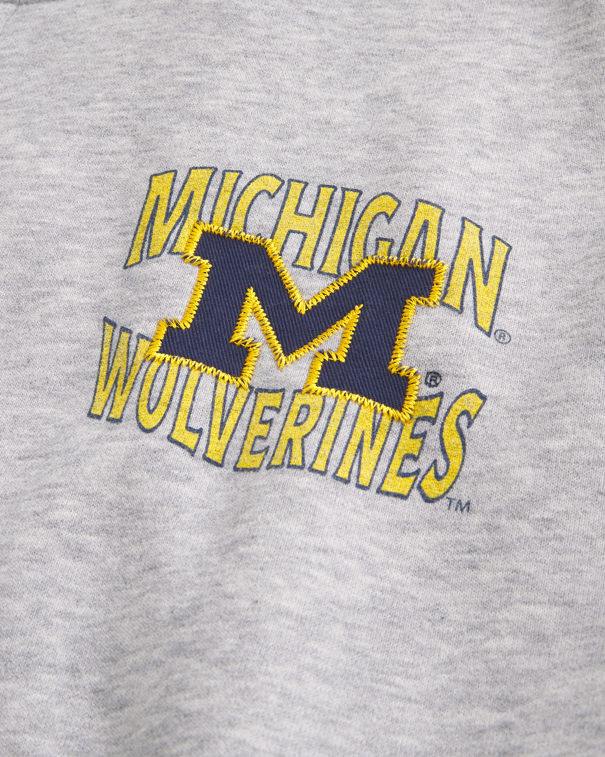 Boxy Zip-Up University of Michigan Wolverines Graphic Hoodie