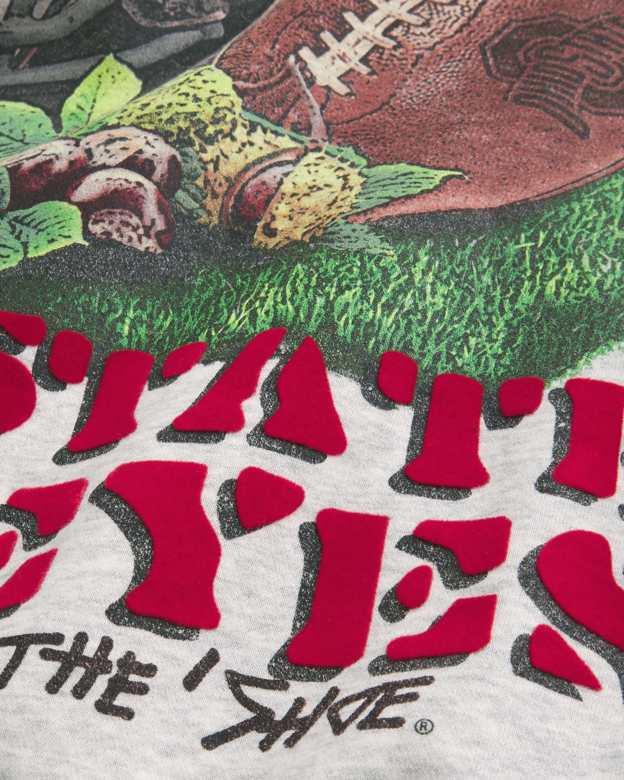 Boxy Zip-Up The Ohio State University Buckeyes Graphic Hoodie