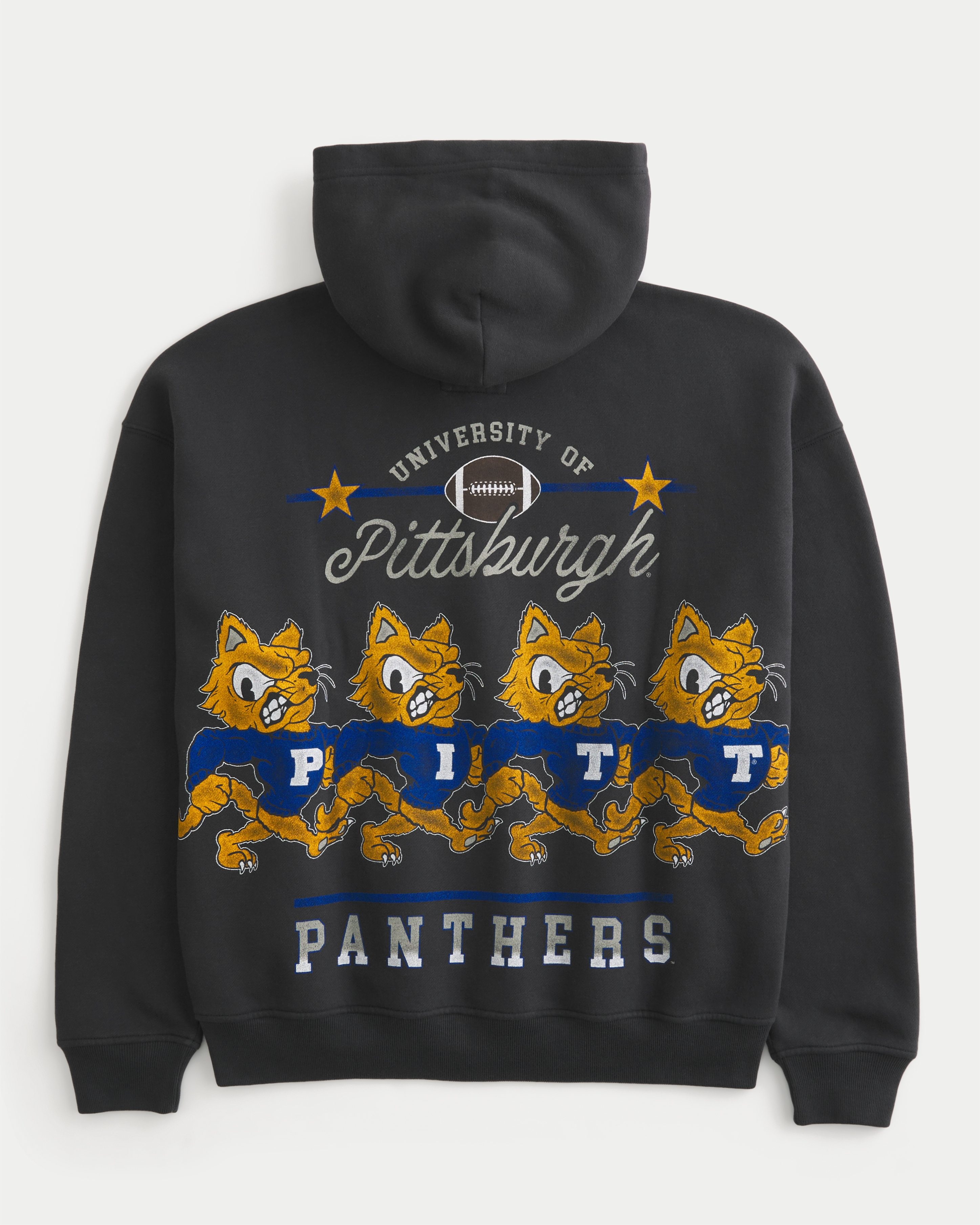 Boxy University of Pittsburgh Panthers Graphic Hoodie