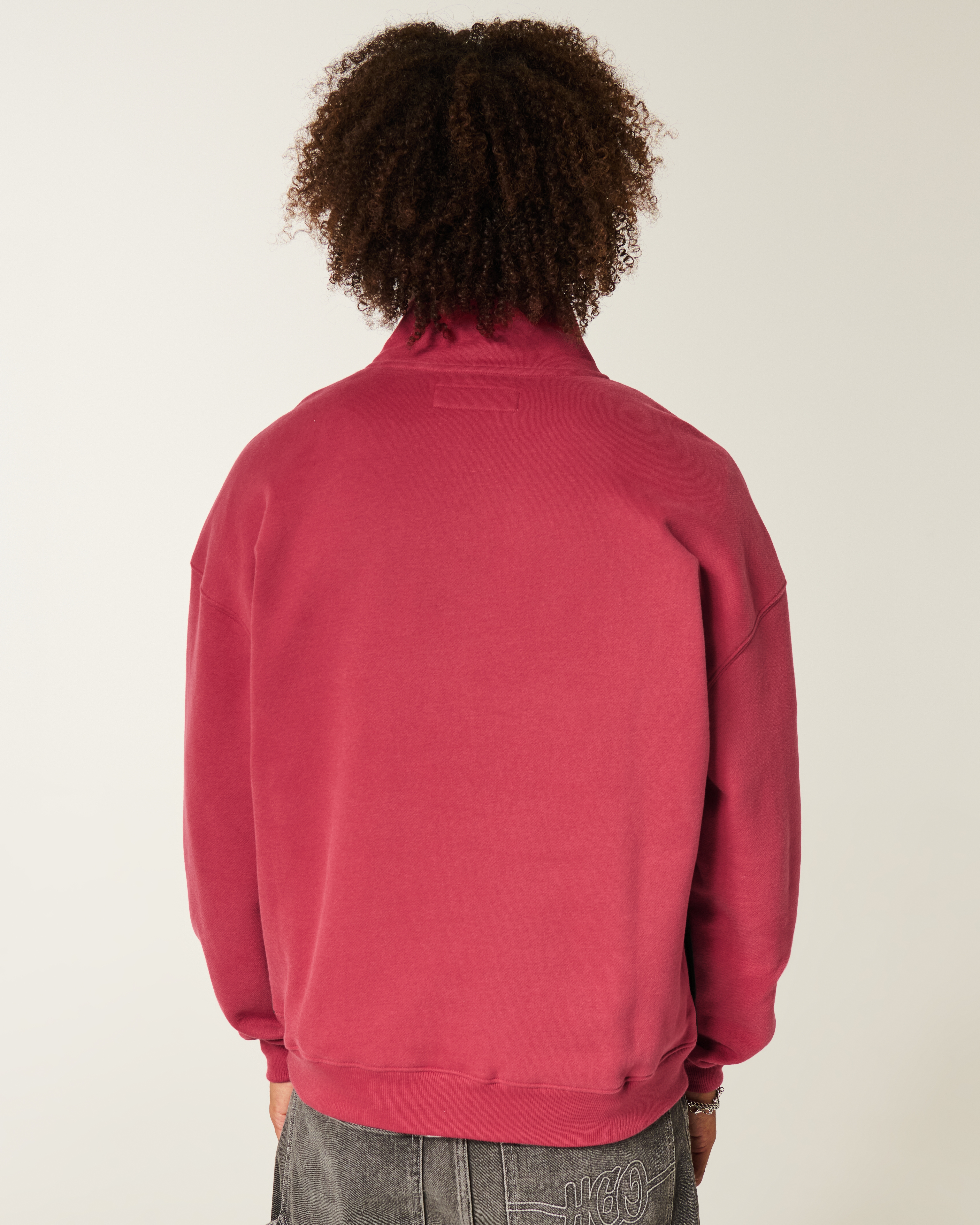 Boxy Half-Zip Ducati Graphic Sweatshirt