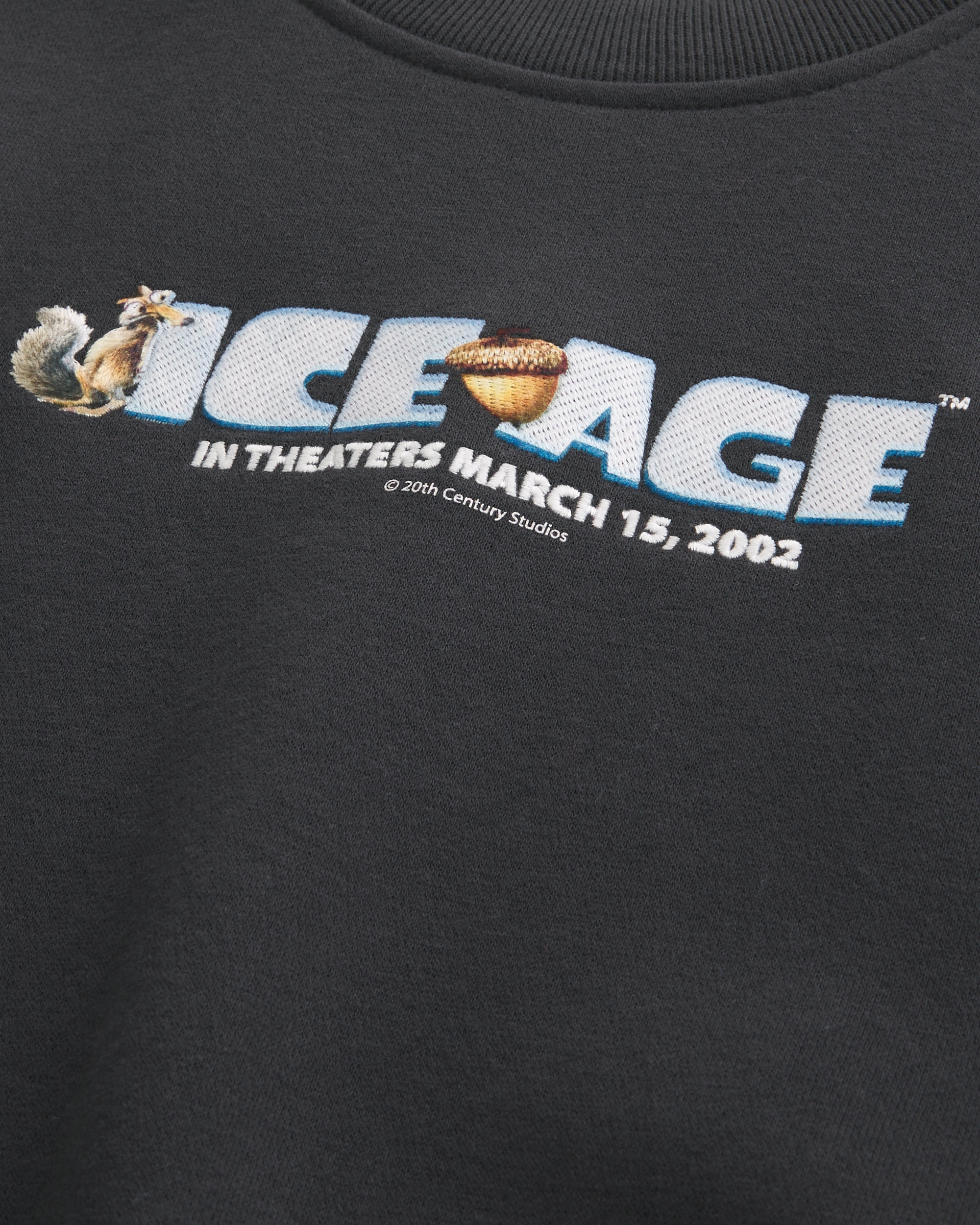 Boxy Ice Age Graphic Crew Sweatshirt