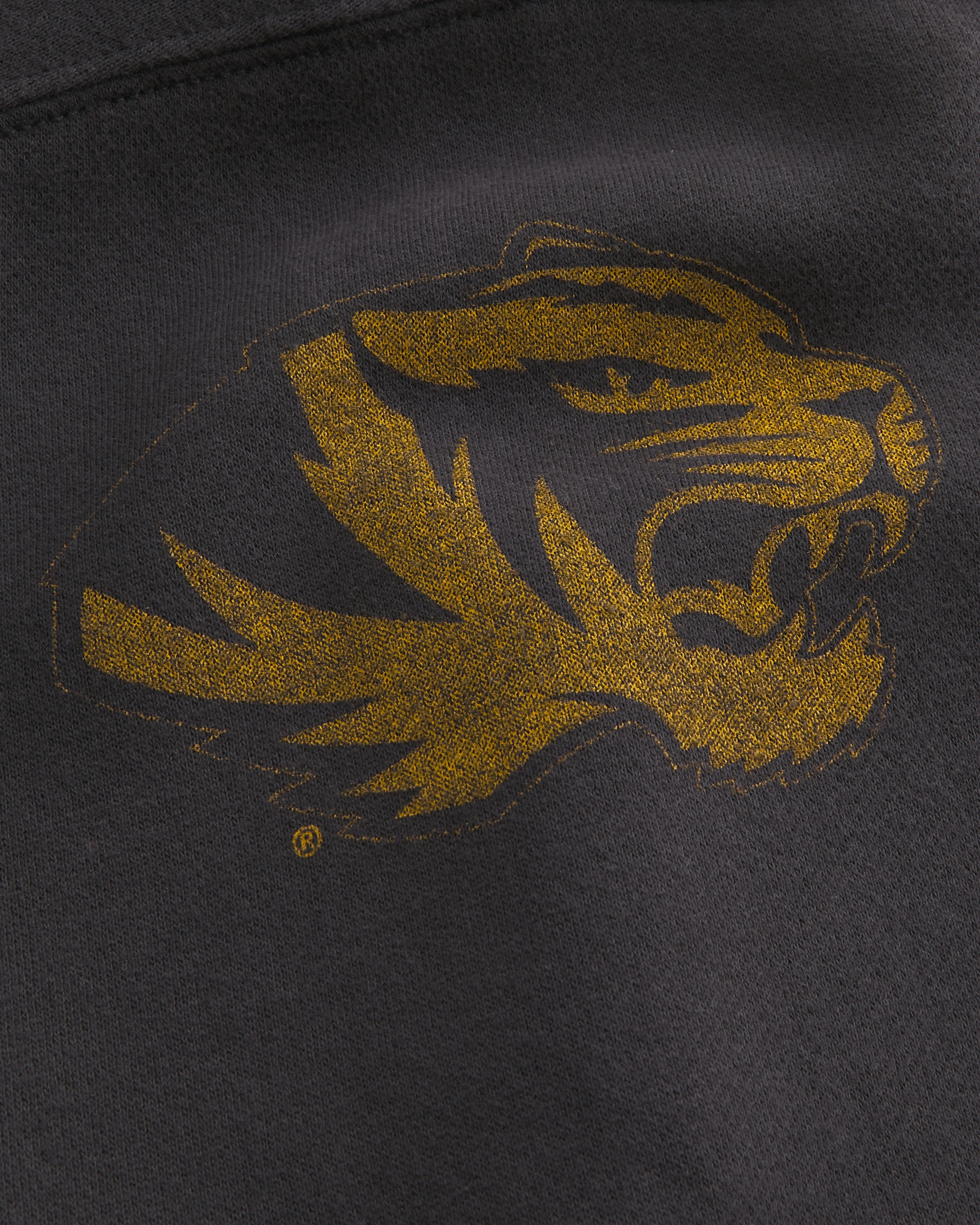 Boxy University of Missouri Tigers Graphic Hoodie