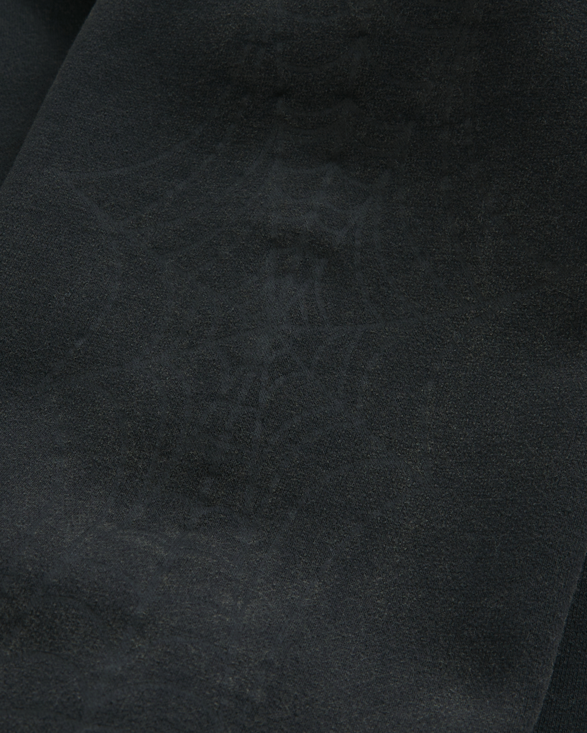 Boxy Zip-Up Spider Graphic Hoodie