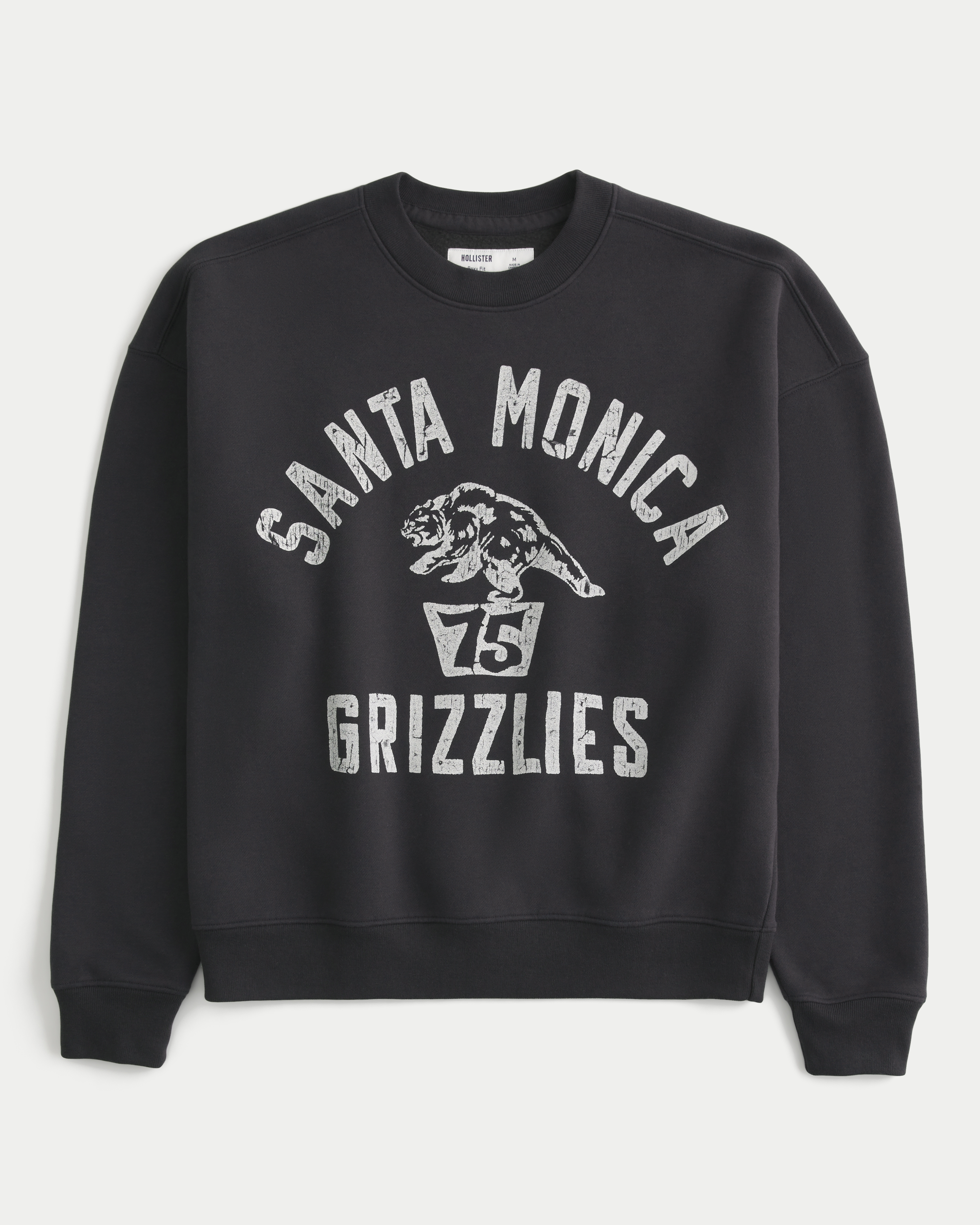 Boxy Santa Monica Grizzlies Graphic Crew Sweatshirt