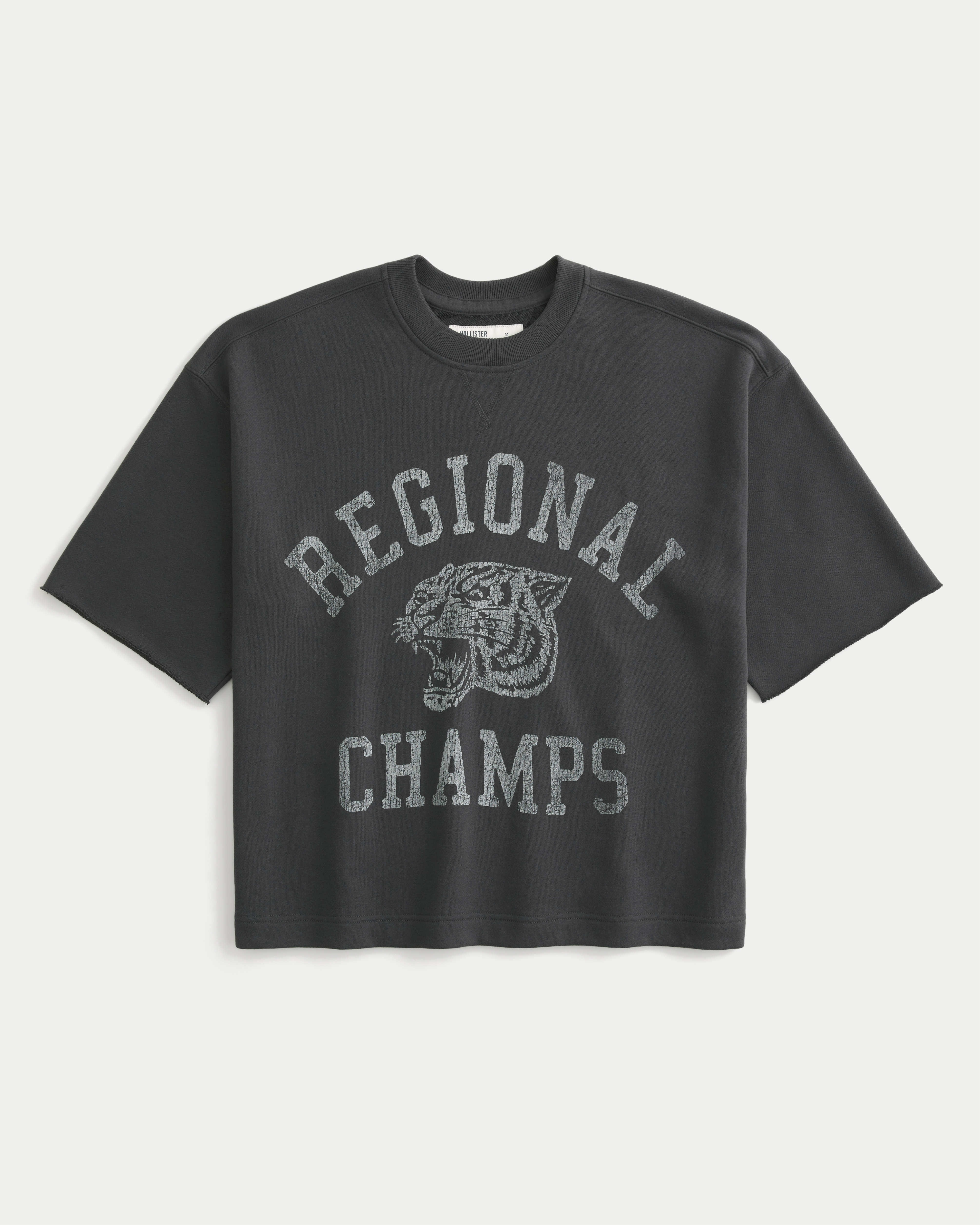 Boxy Short-Sleeve Regional Champs Graphic Sweatshirt