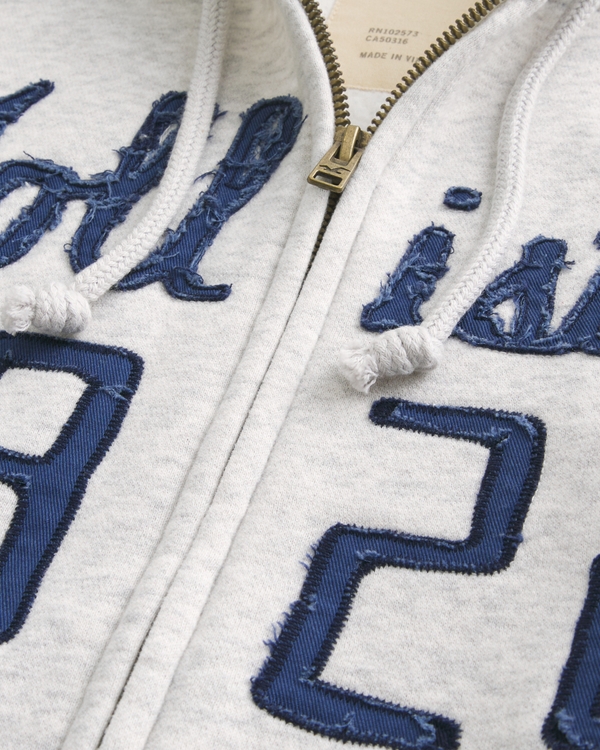 Men's Washed Zip-Up Logo Graphic Hoodie | Men's Sale | HollisterCo.com