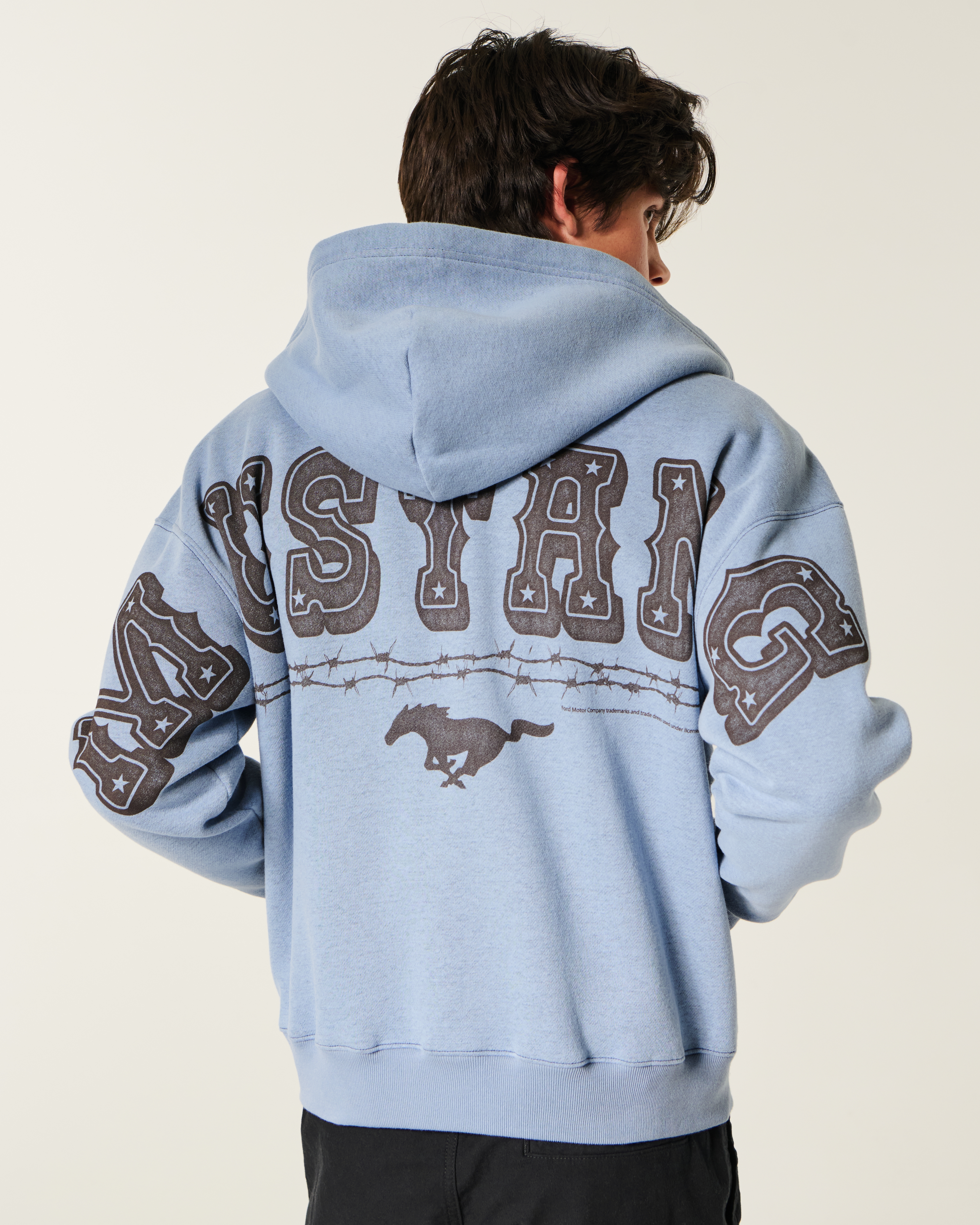 Hollister Boxy Zip-Up Ford Mustang Graphic Hoodie at Hamilton