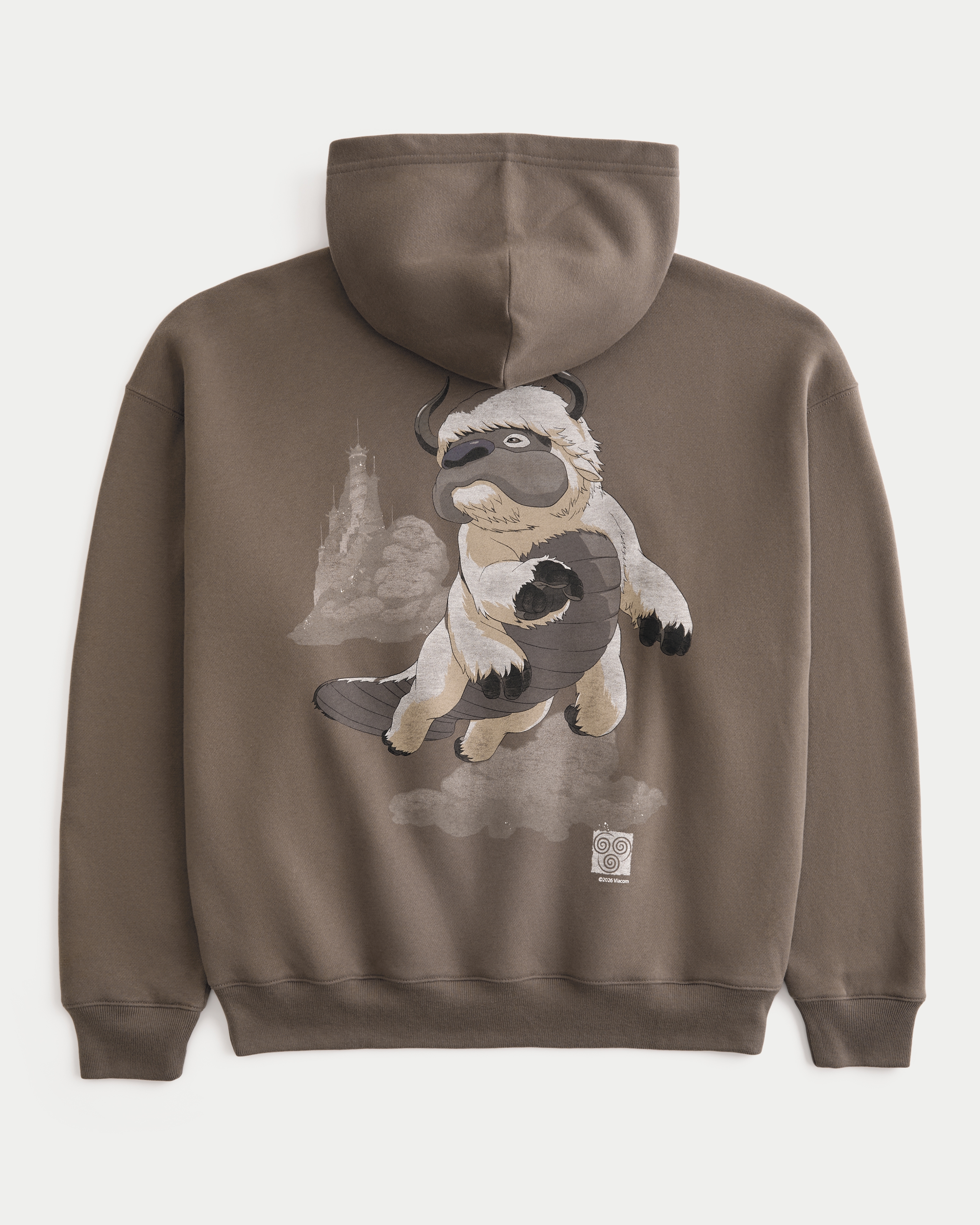 Boxy Avatar The Last Airbender Graphic Hoodie