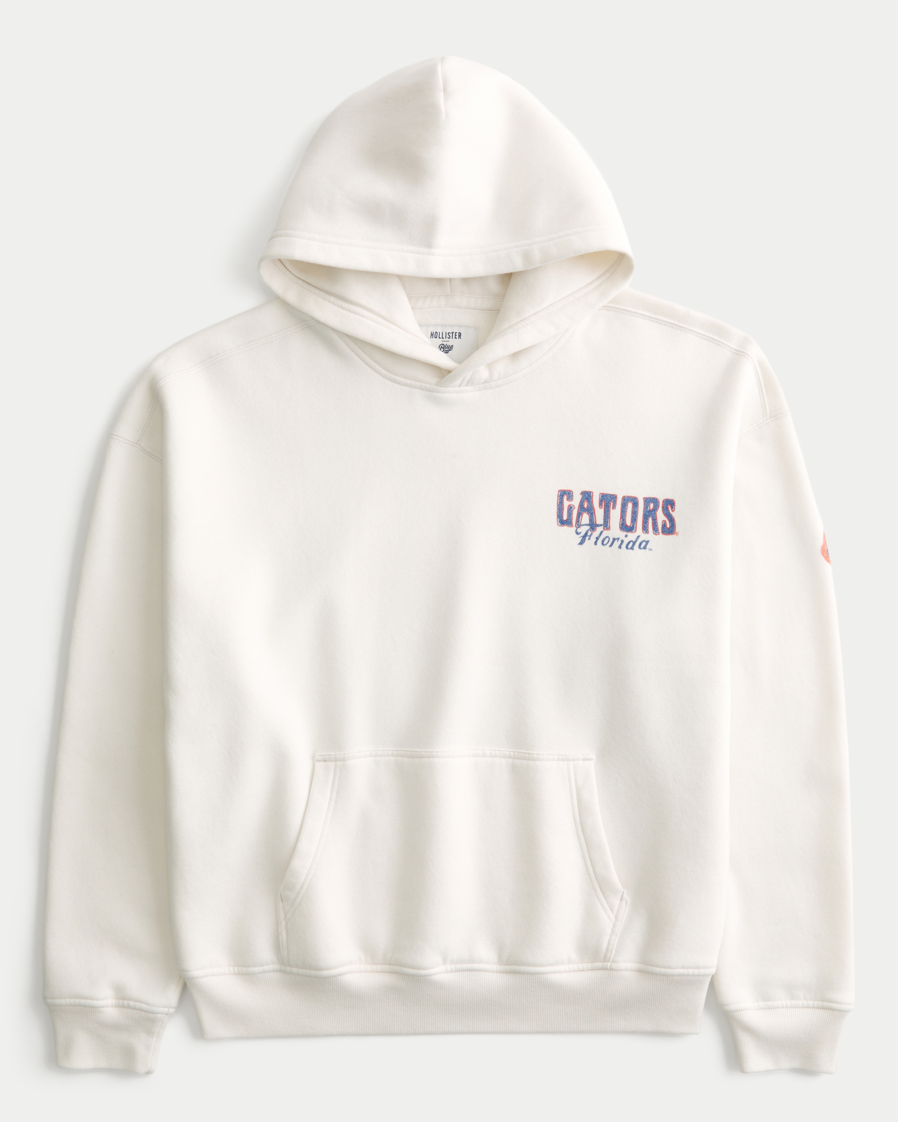 Boxy University of Florida Gators Graphic Hoodie