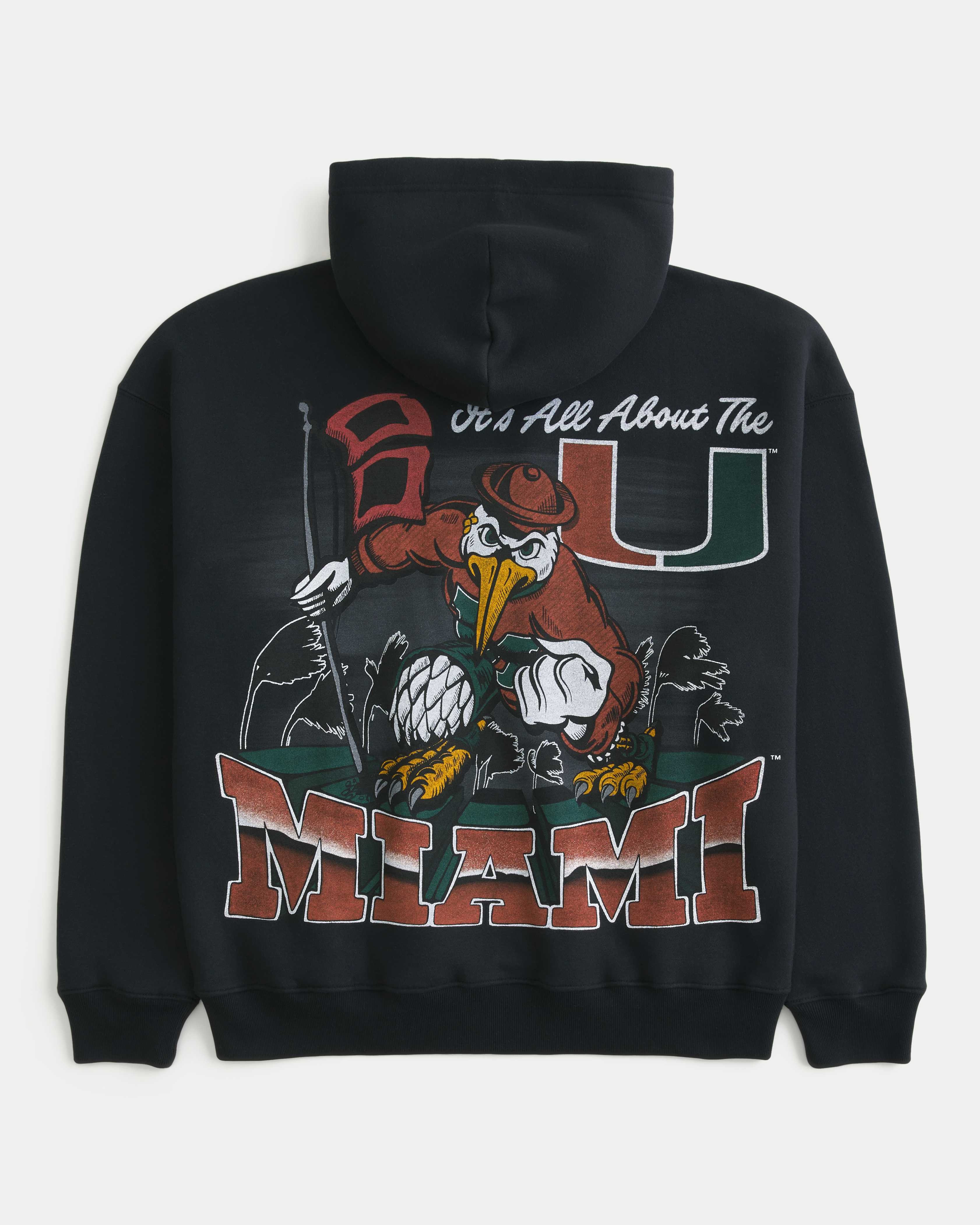 Boxy Zip-Up University of Miami Hurricanes Graphic Hoodie