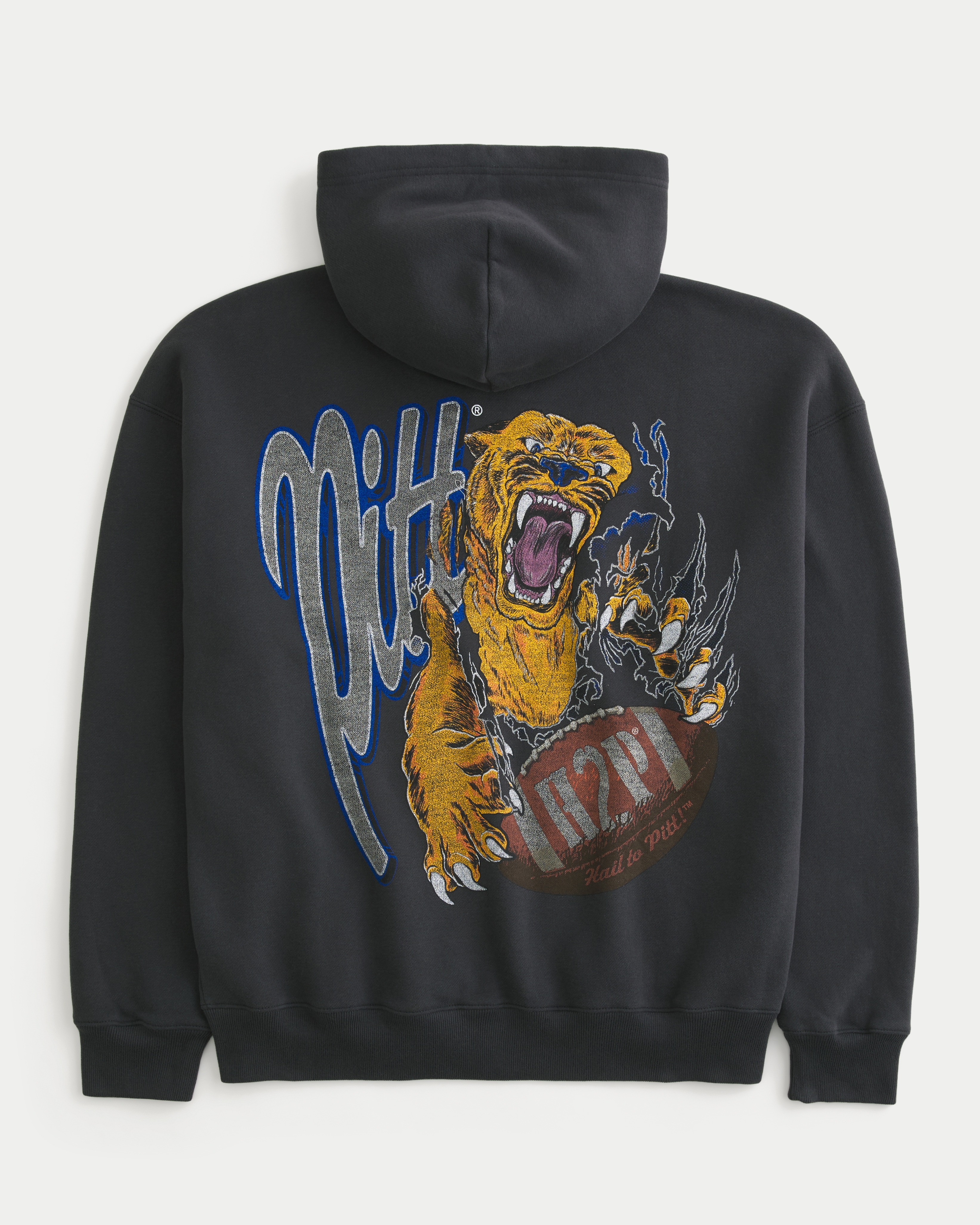 Boxy Zip-Up University of Pittsburgh Panthers Graphic Hoodie