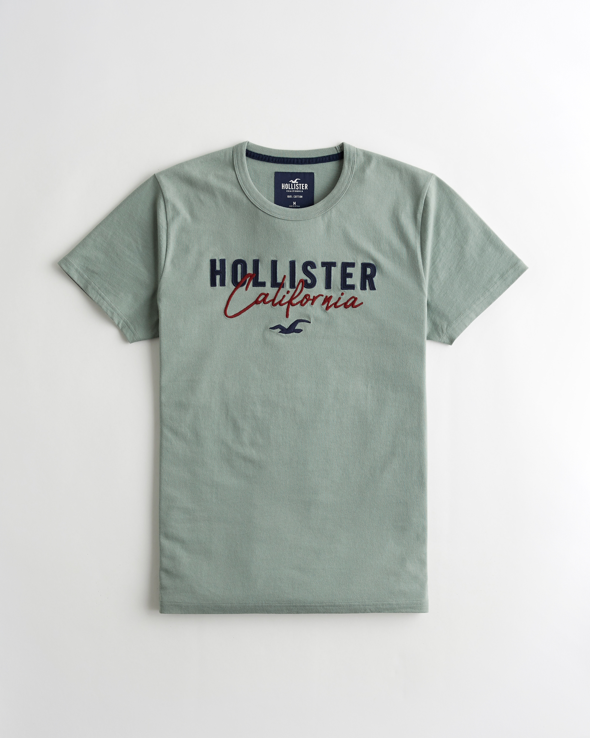 hollister logo graphic tee