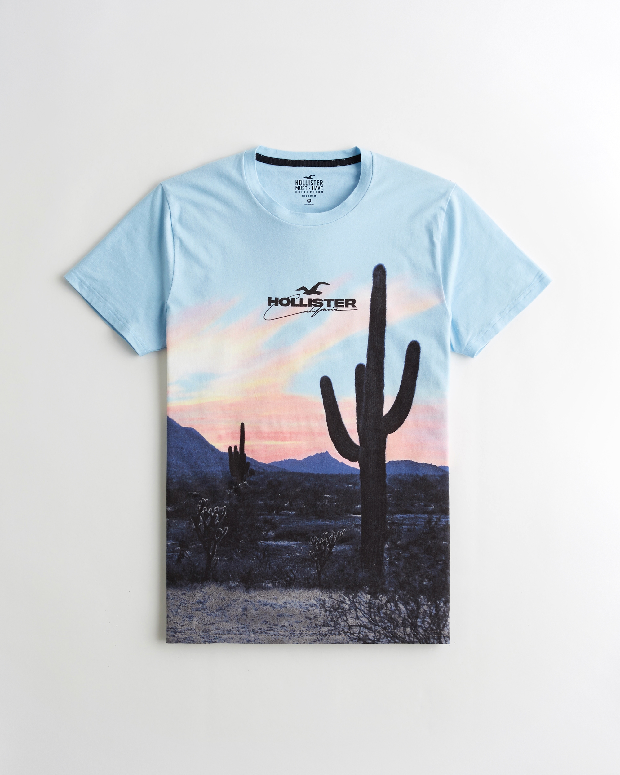 graphic tees hollister