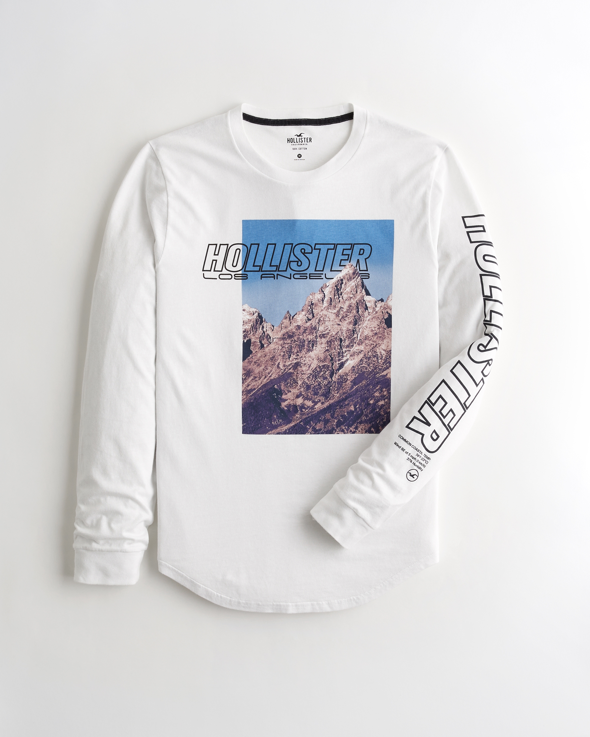 boys hollister t shirts