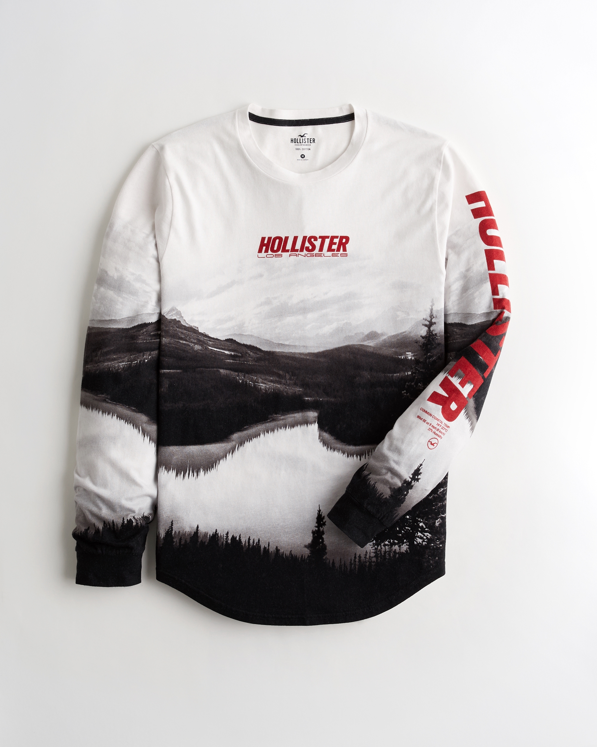 hollister longsleeve