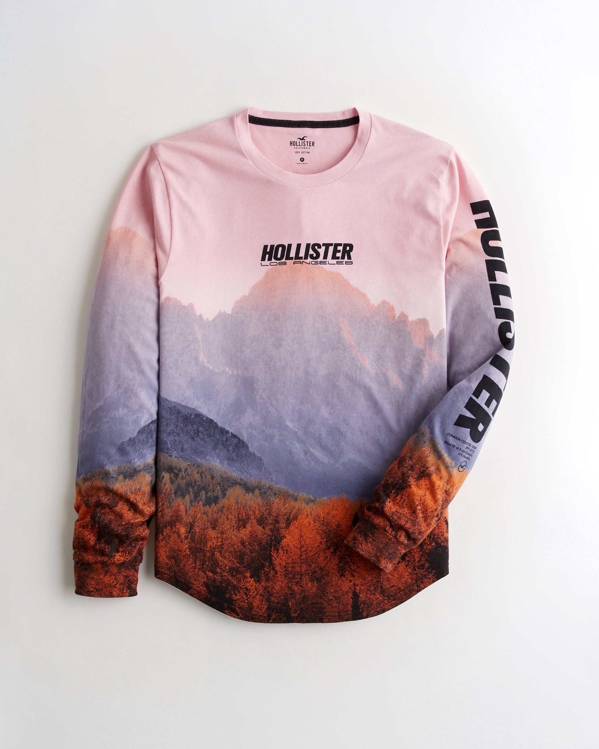 boys hollister t shirts