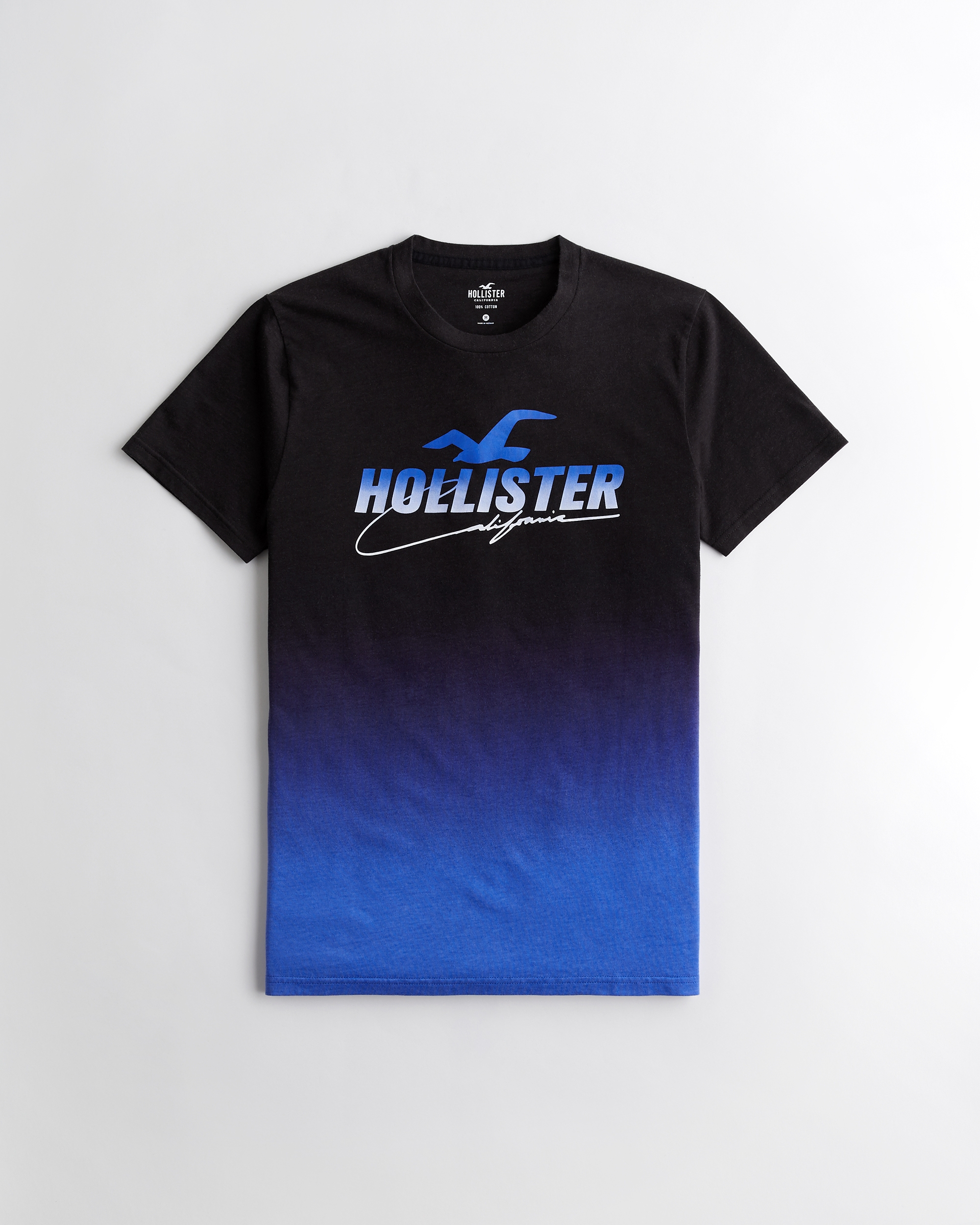 Guys T-Shirts \u0026 Tanks | Hollister Co.