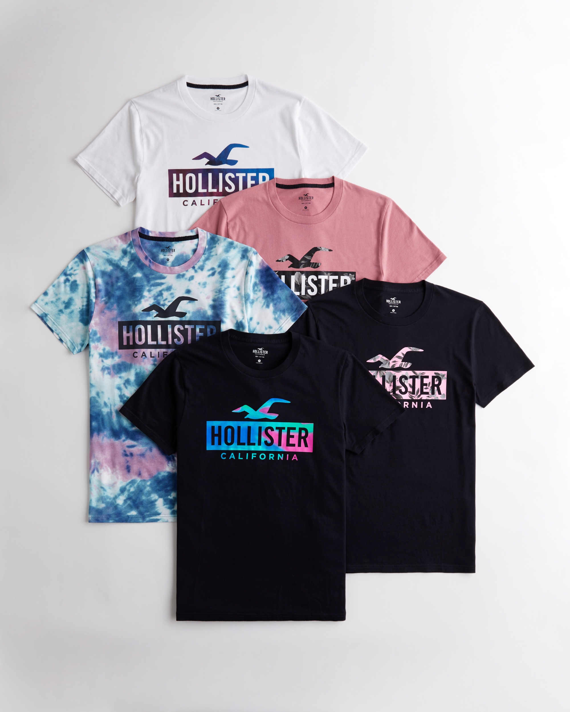 hollistefr