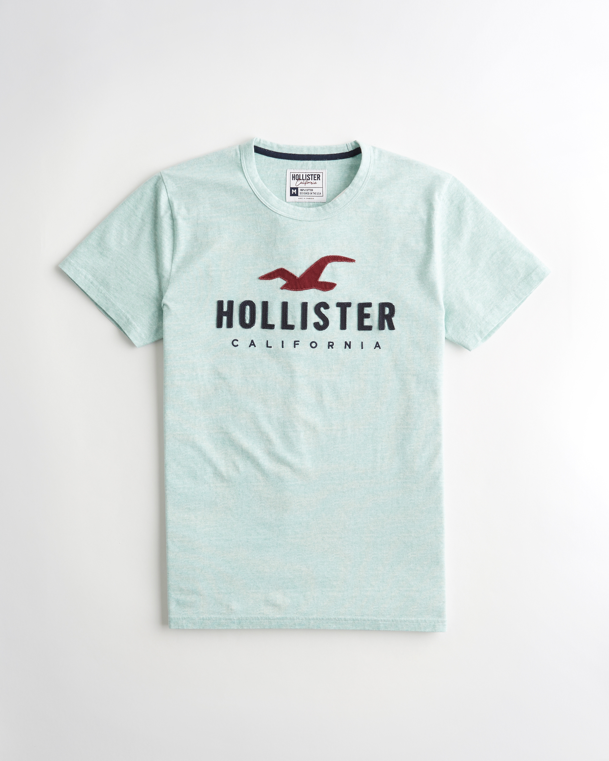 t shirt hollister california