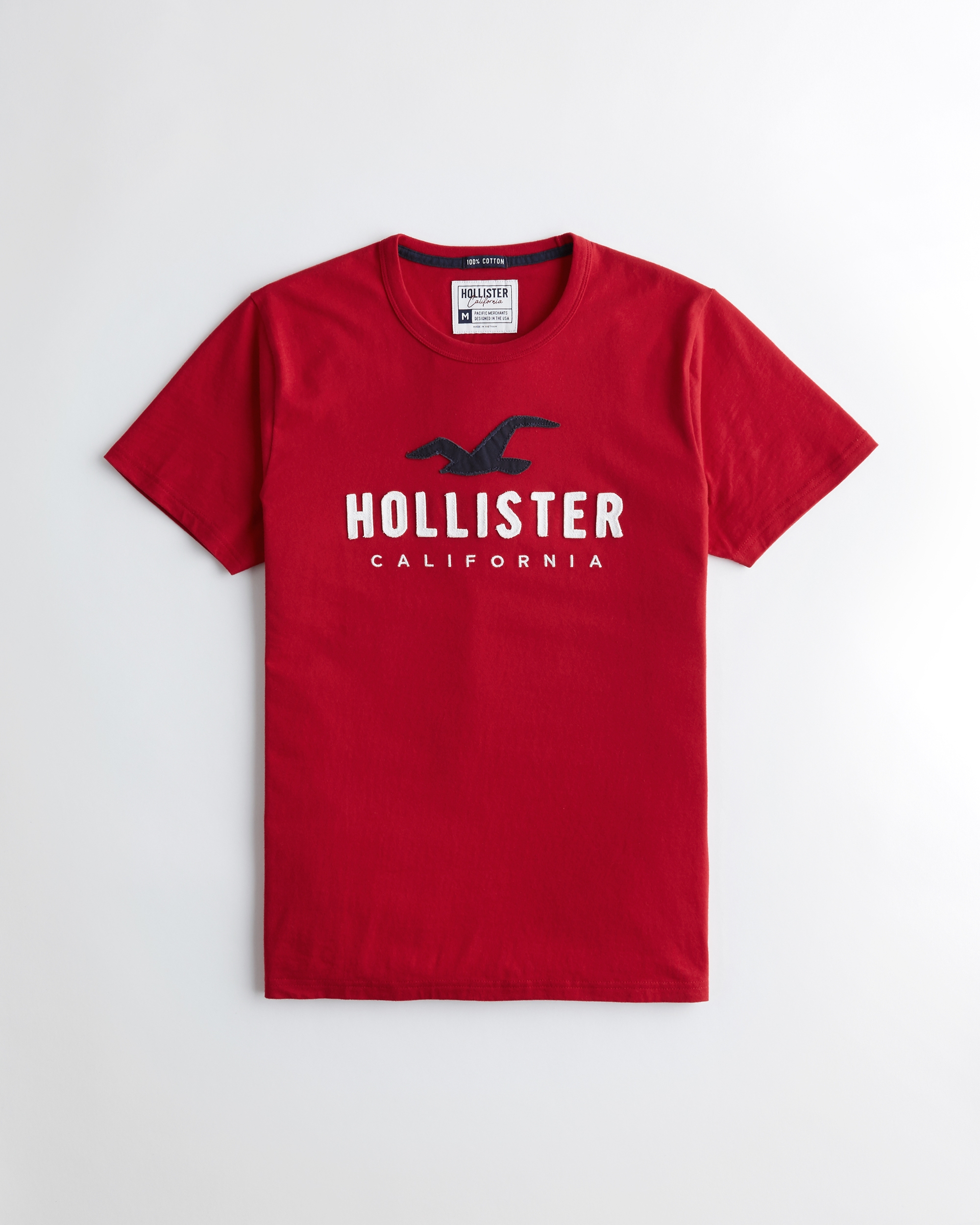 hollister graphic t shirt