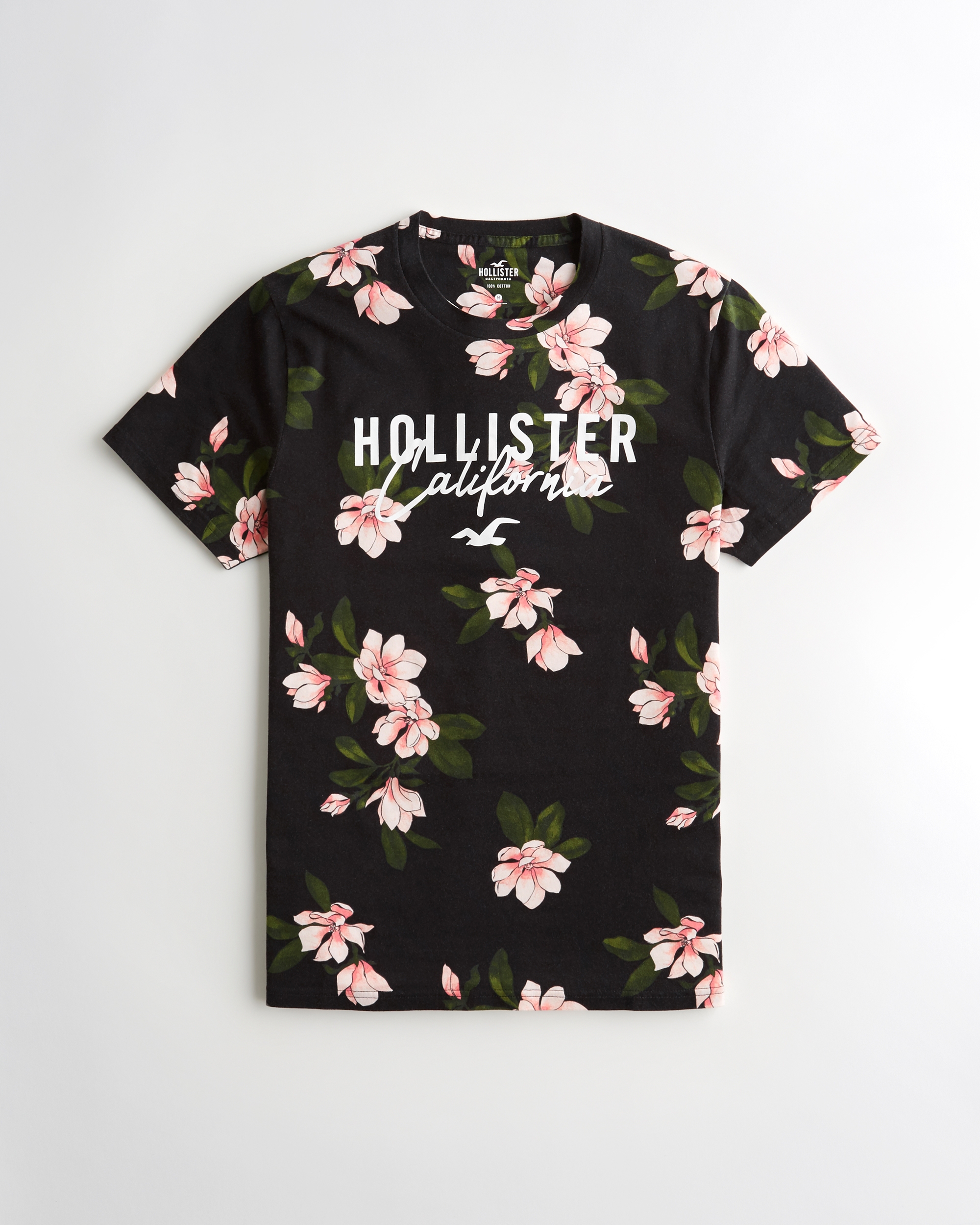 hollister mens graphic tees