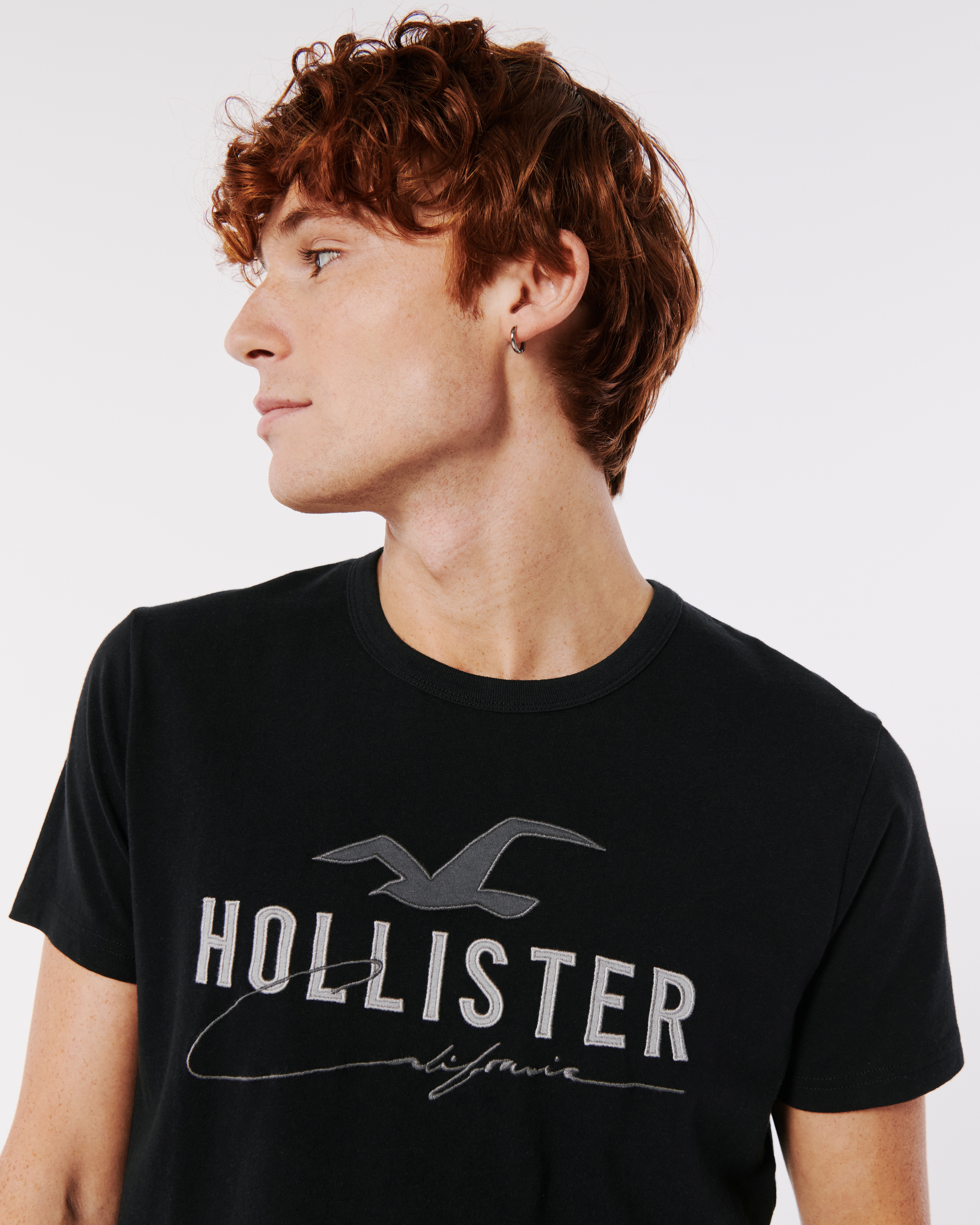 Hollister embroidered best sale logo graphic tee