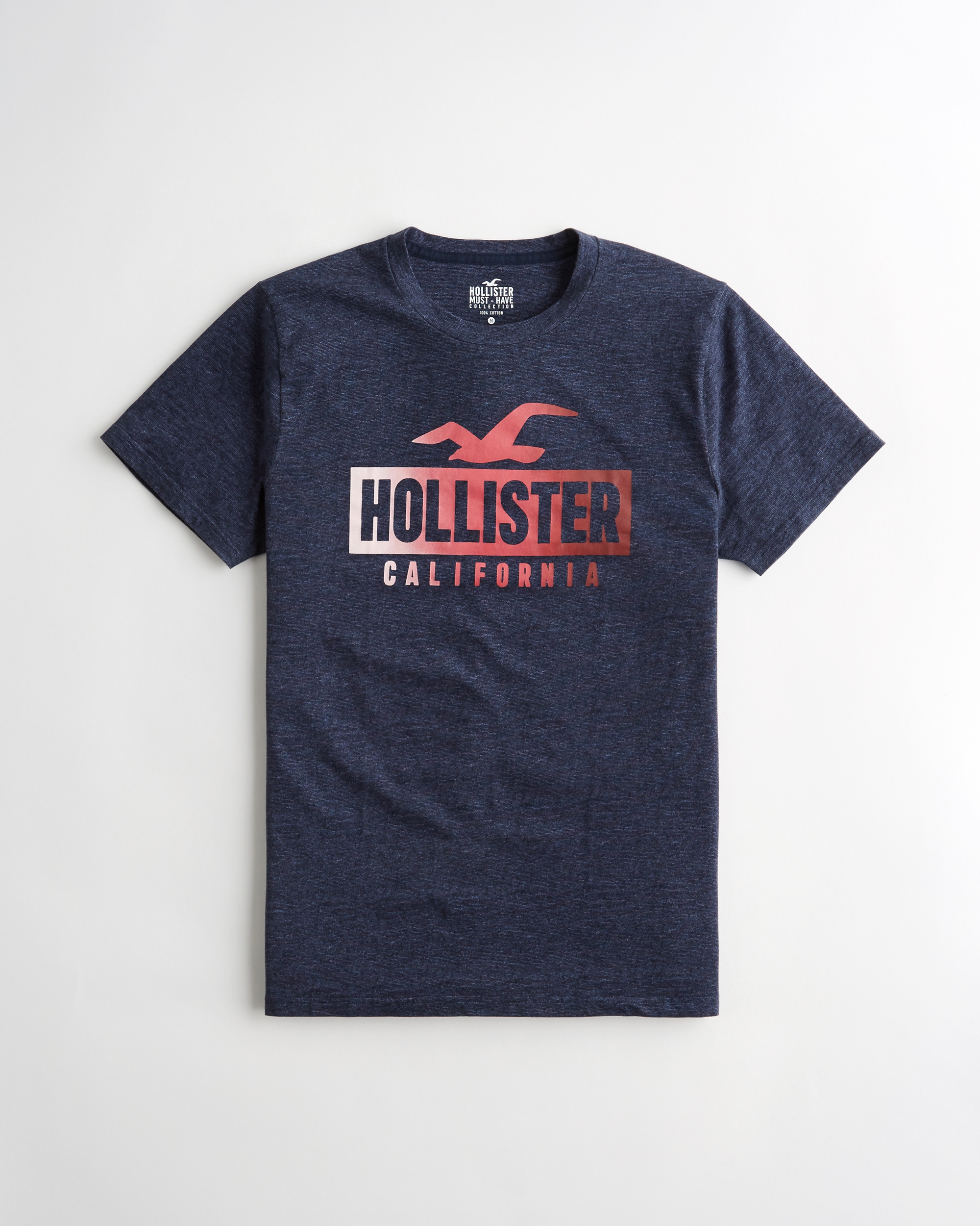 hollister graphic t shirt