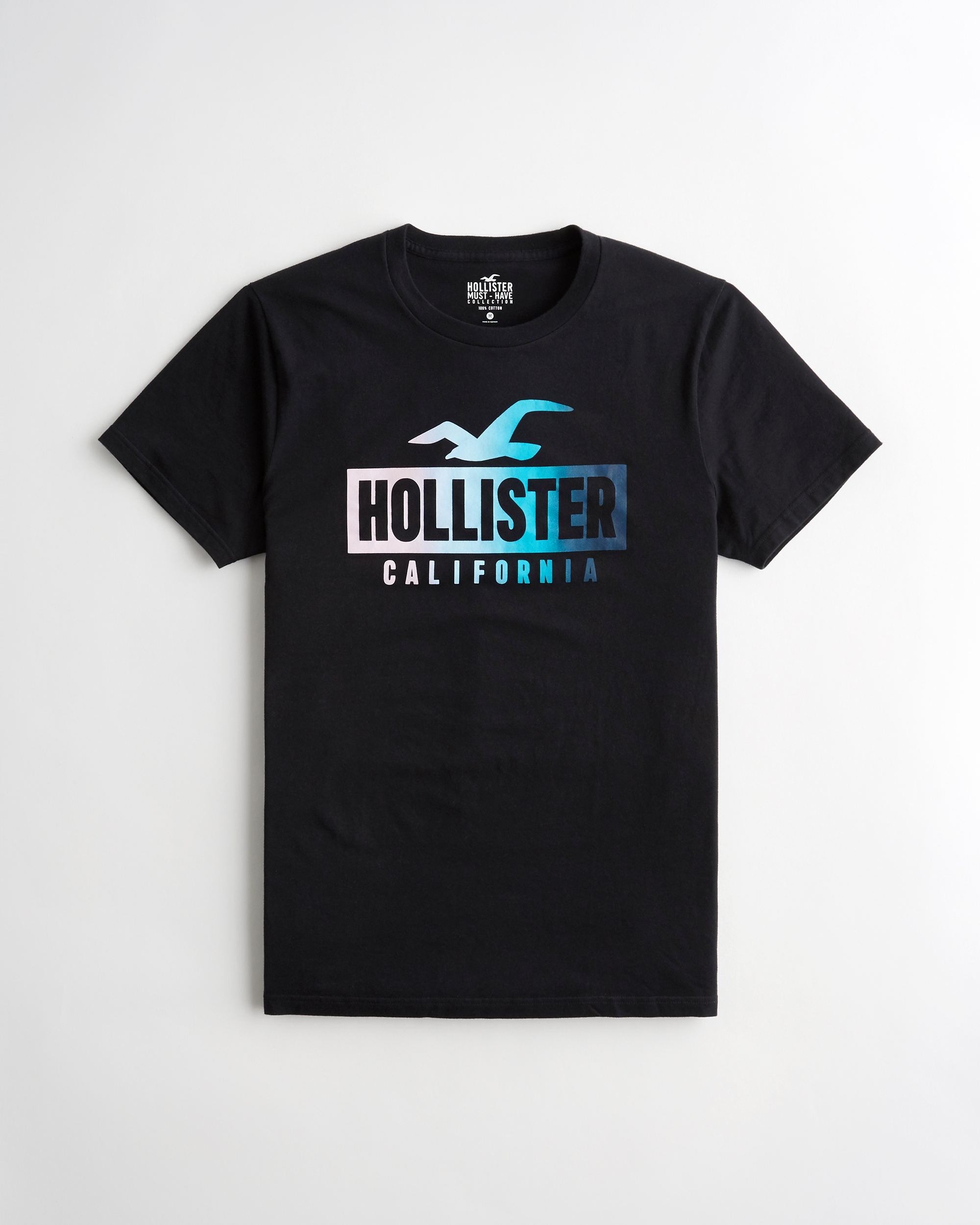 hollister big and tall