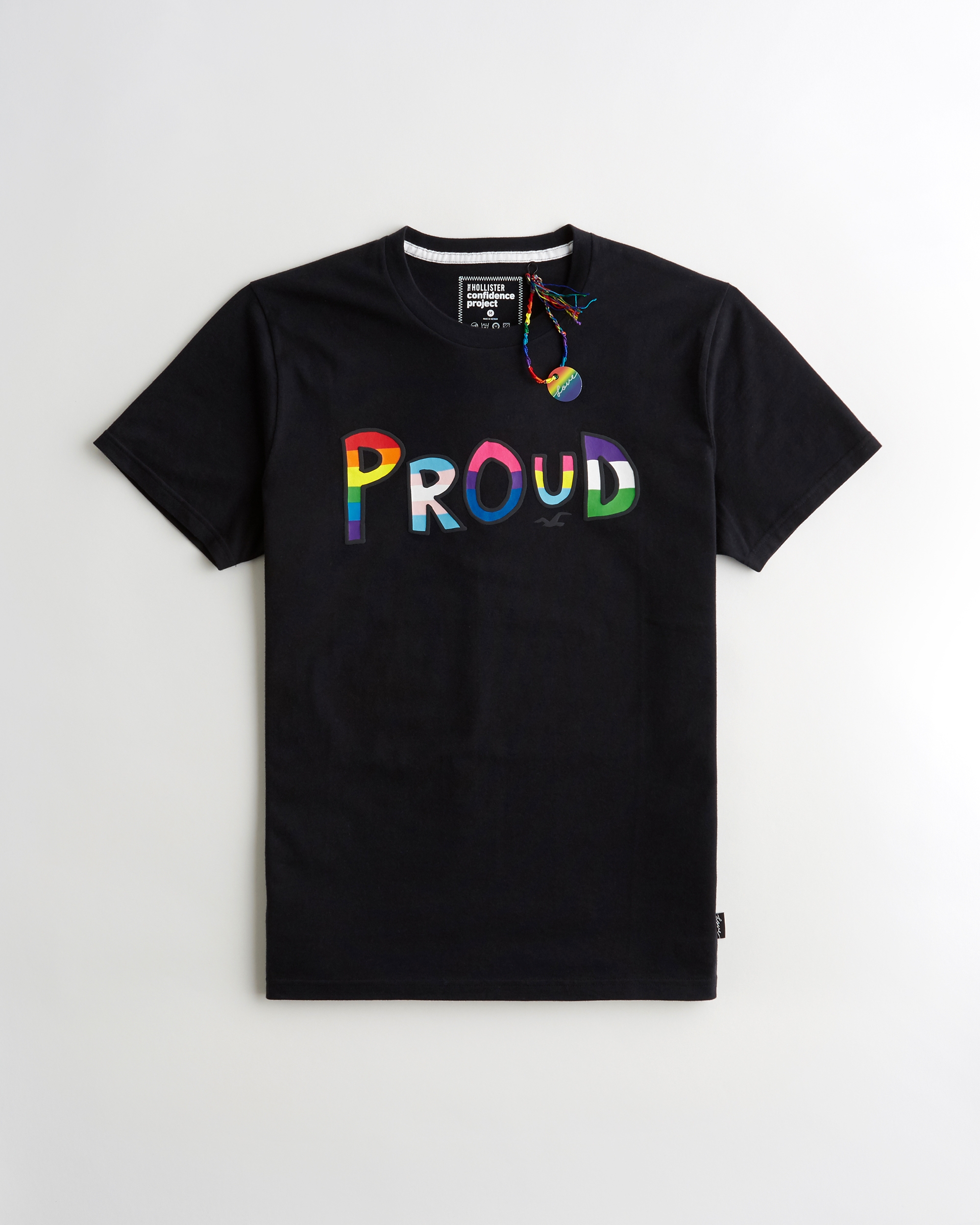 hollister pride shirts