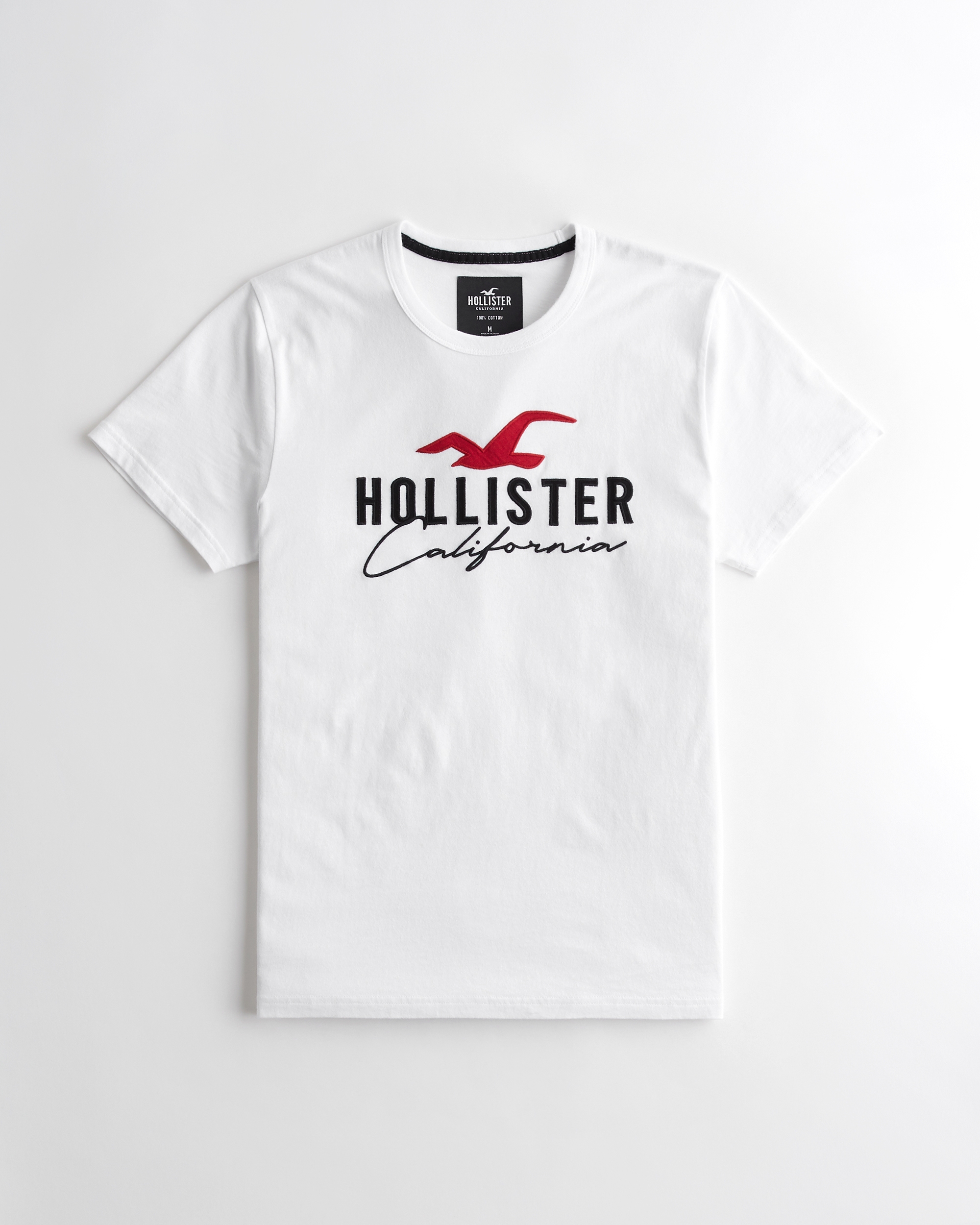 Hollister basic crew neck t-shirt in white