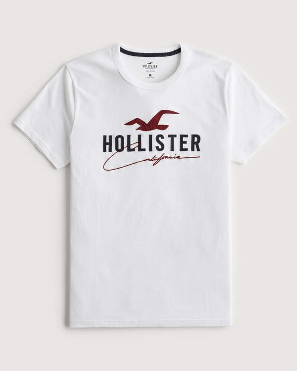 Men's Graphic Tees | Hollister Co.