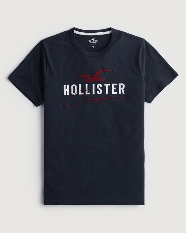 Camisetas de hombre - Camisetas cuello redondo | Hollister Co.