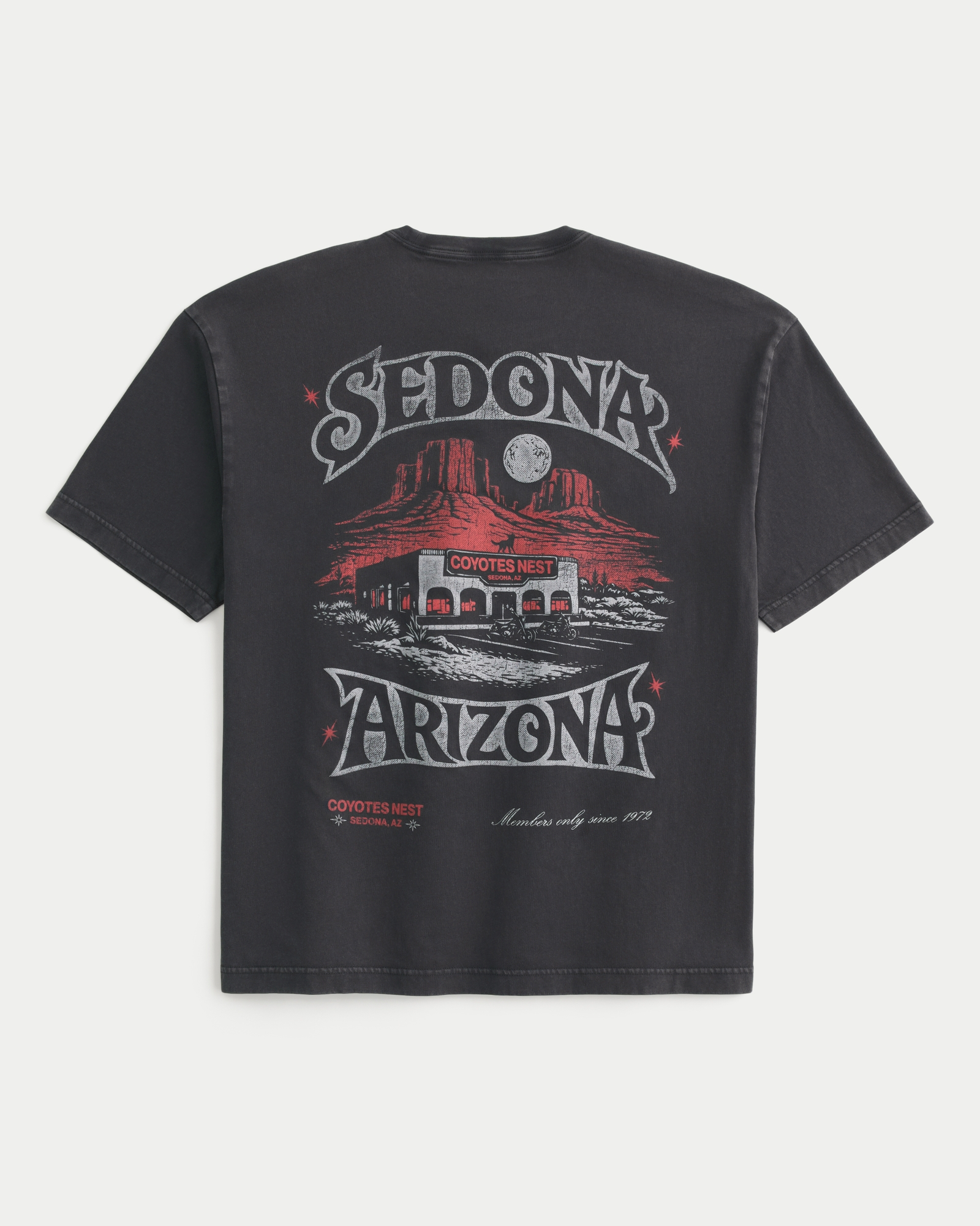 アバンティーズ そらちぃ サイン入り スクールアウトサイダーTシャツ メンズ Sedona Arizona ボクシー グラフィックTシャツ | メンズ