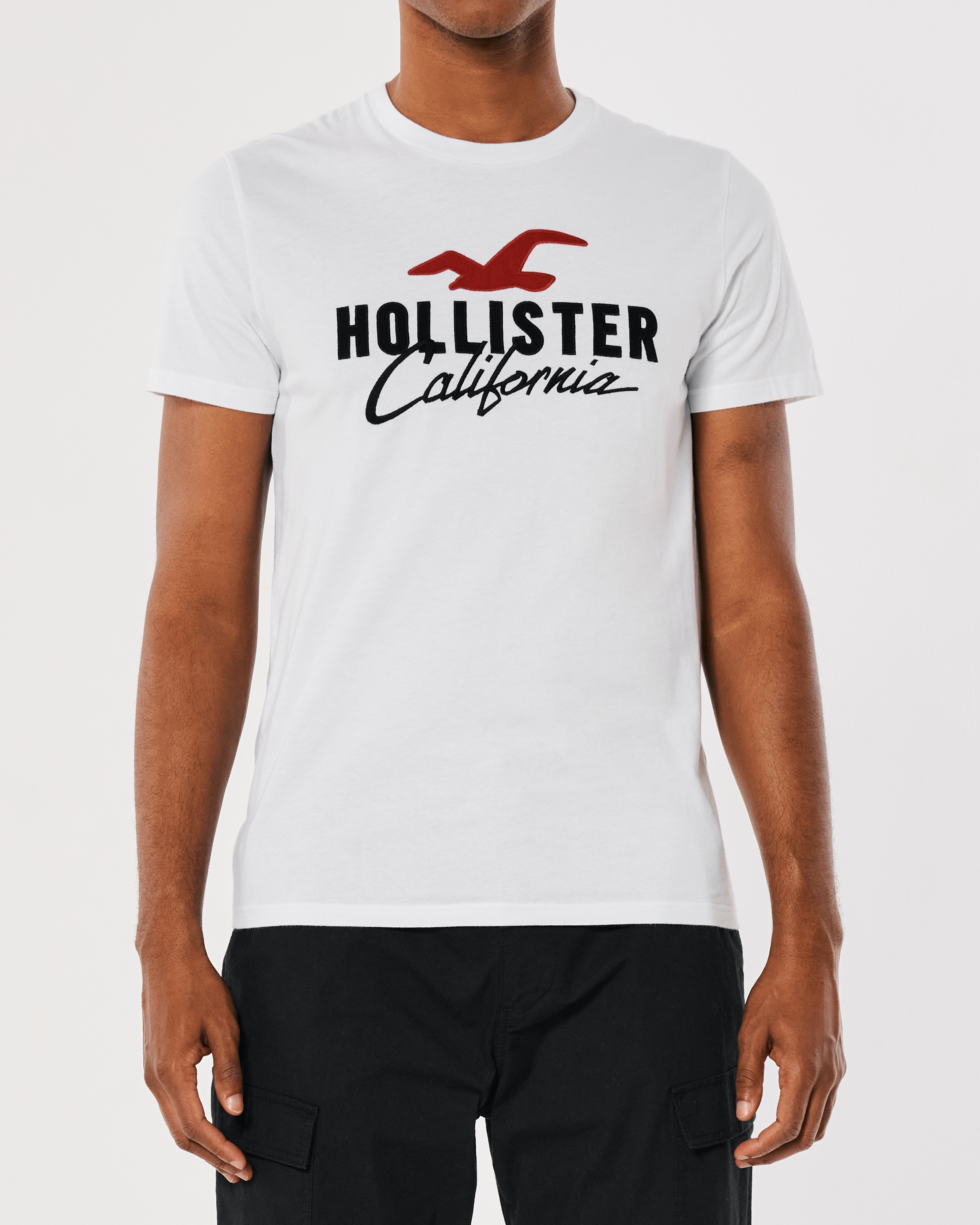 Graphic Tees  Hollister Co. Mens Print Graphic Tee 5-Pack Print