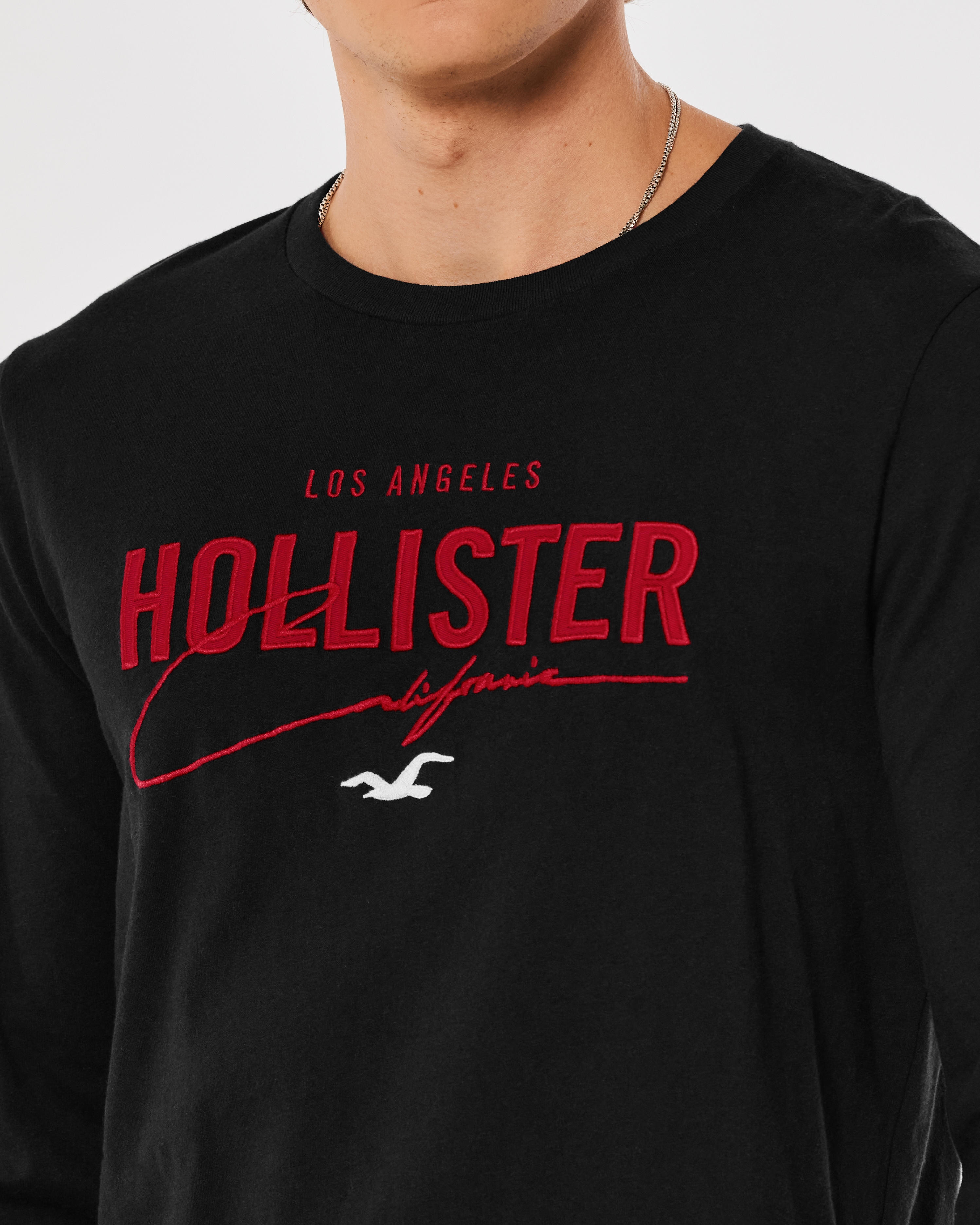 Hollister flock long sleeve tshirt with back logo