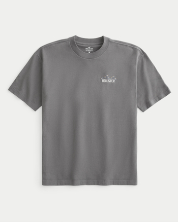 Hollister box logo tee shop