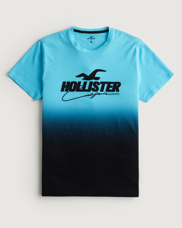Hommes T-shirt graphique dégradé avec logo en maille avec application | Hommes Hauts | HollisterCo.com