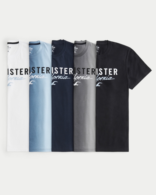 herren-grafik-t-shirts-bedruckte-t-shirts-hollister-co