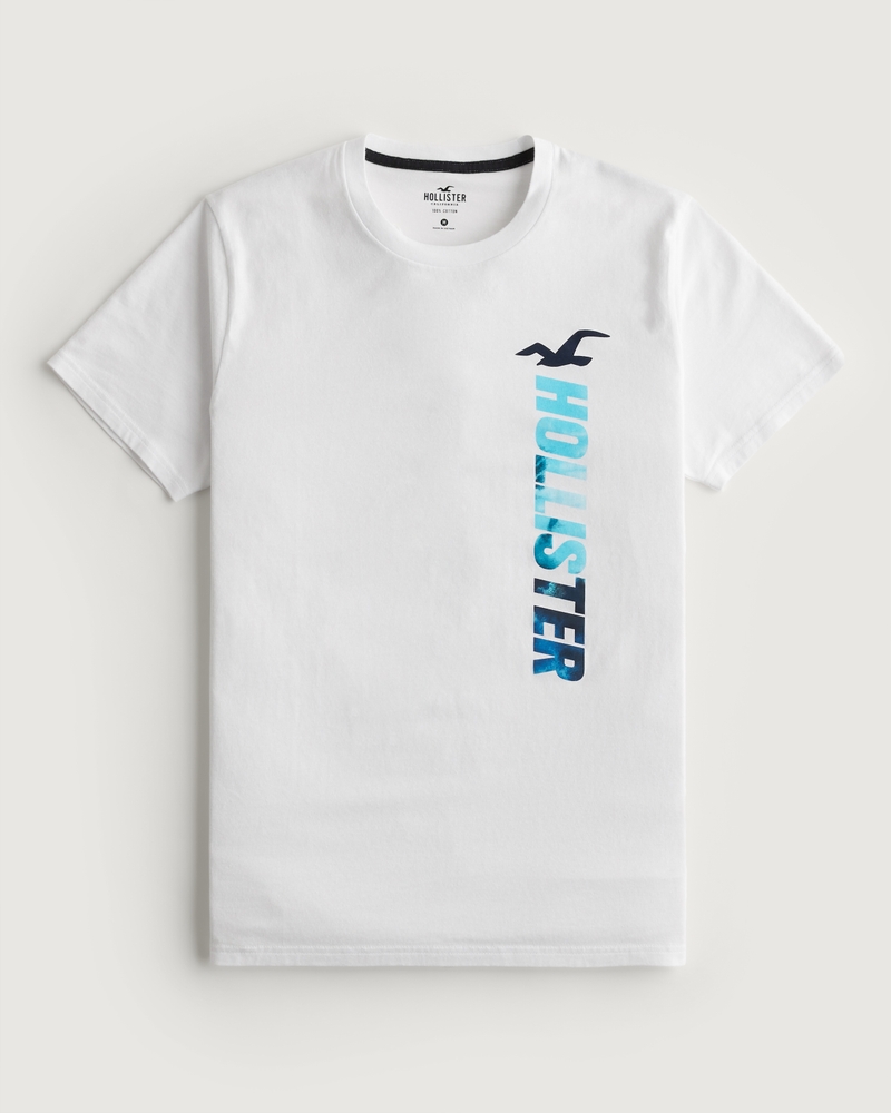 Camiseta con estampa del logo de algodón | Hombres Prendas HollisterCo.com
