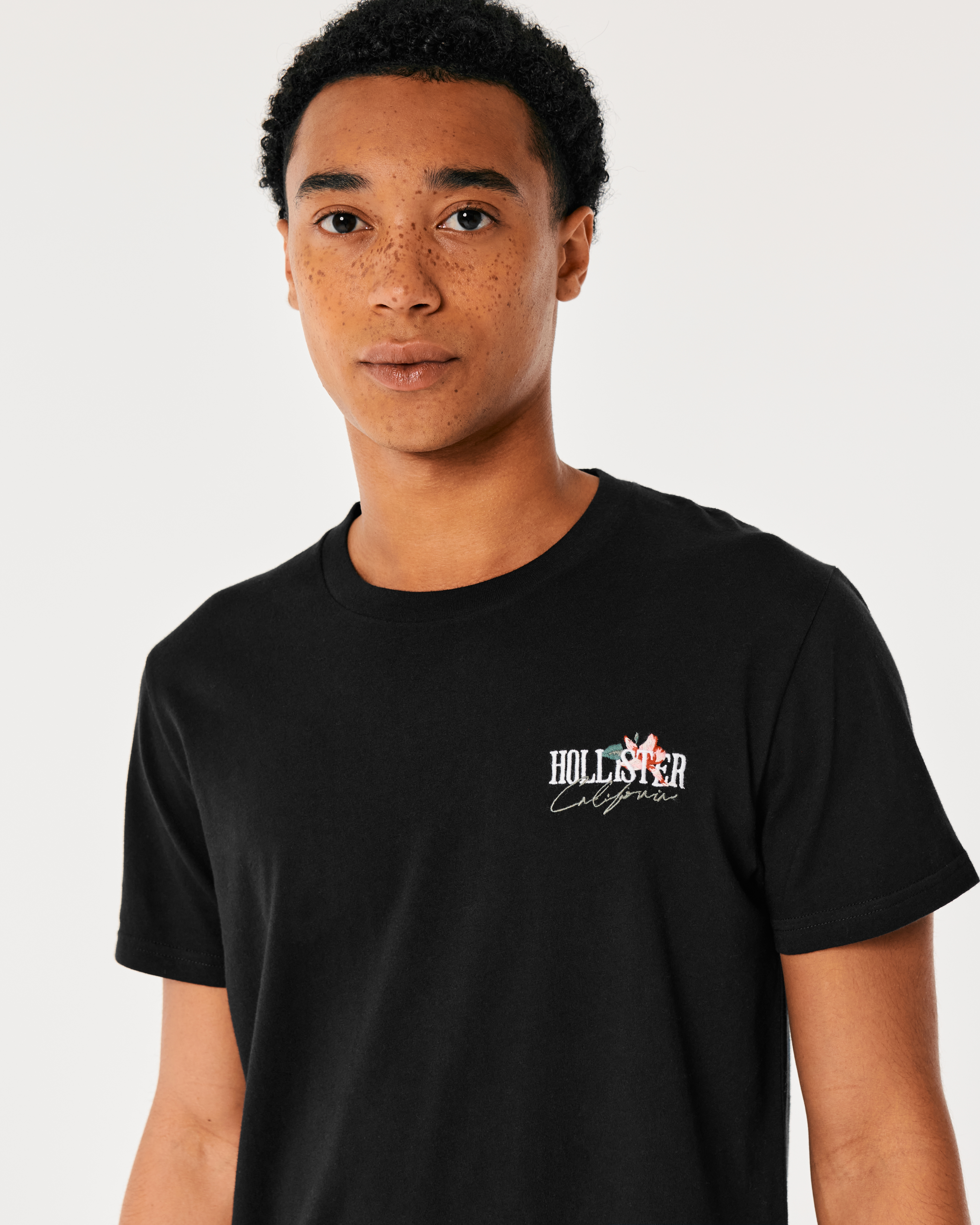 Official Hollister Co Merch Store Hollister Relaxed Long Sleeve Mushroom  Logo Graphic Hollisterco Apparel Clothing Shop - Resttee