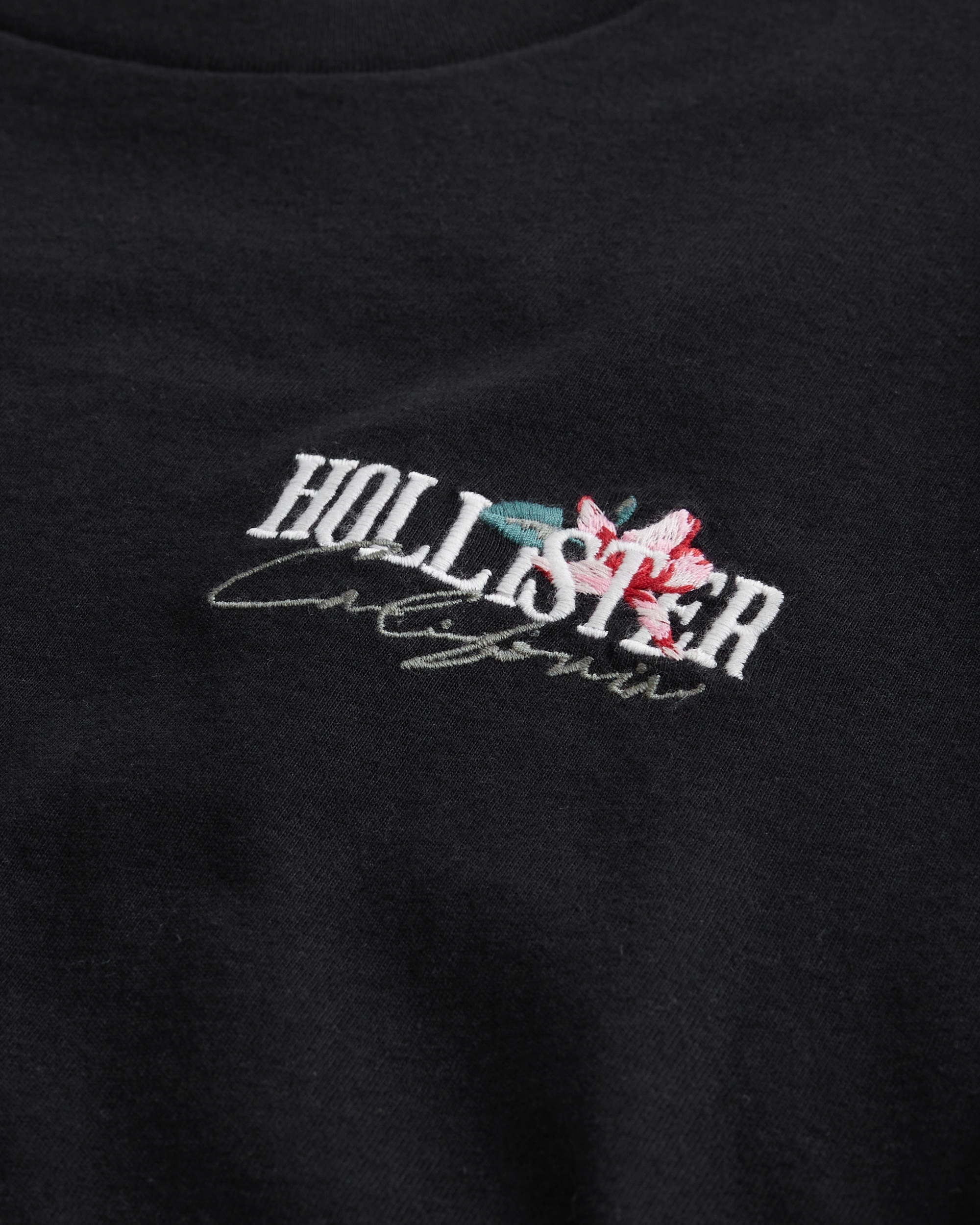 Hollister Relaxed Long-Sleeve Scenic Logo Graphic Tee