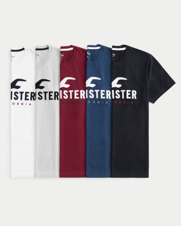 Hollister logo tee new arrivals