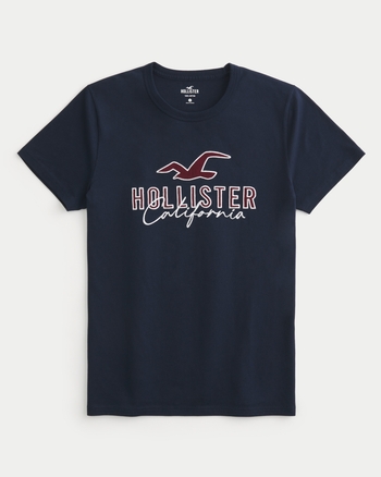 Hollister shirts logo clearance