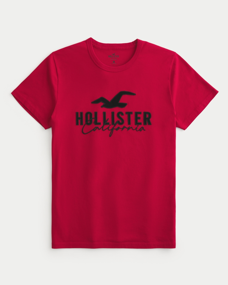 Hollister Logo  Hollister logo, Hollister, Hollister clothes