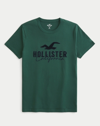 Hollister Relaxed Long-Sleeve Scenic Logo Graphic Tee