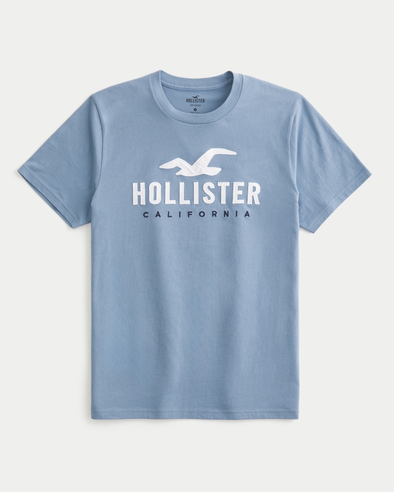 Mens Hollister TShirt VNeck White Top Large L Graphic Bird Logo