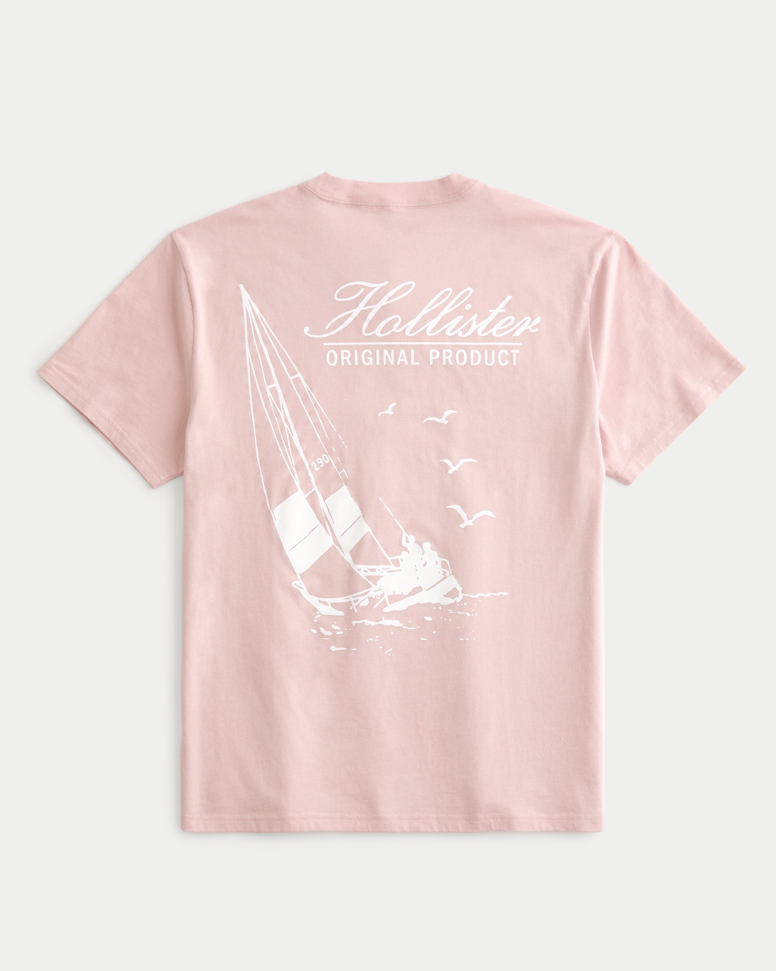 Hollister California Men's Soft Graphic T-Shirt HOM-18 (0849-906, XX-Small)