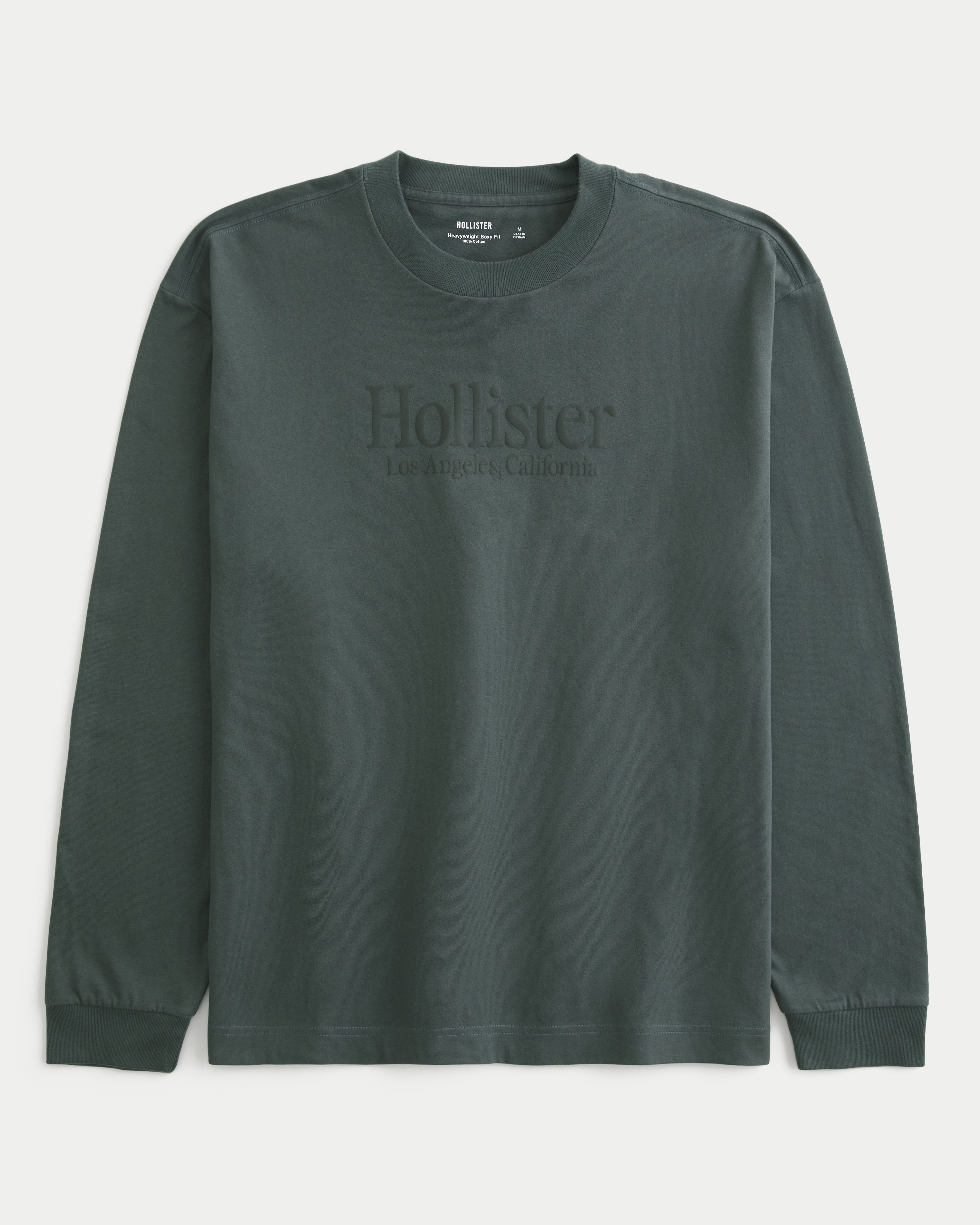 Hollister box logo shirt best sale