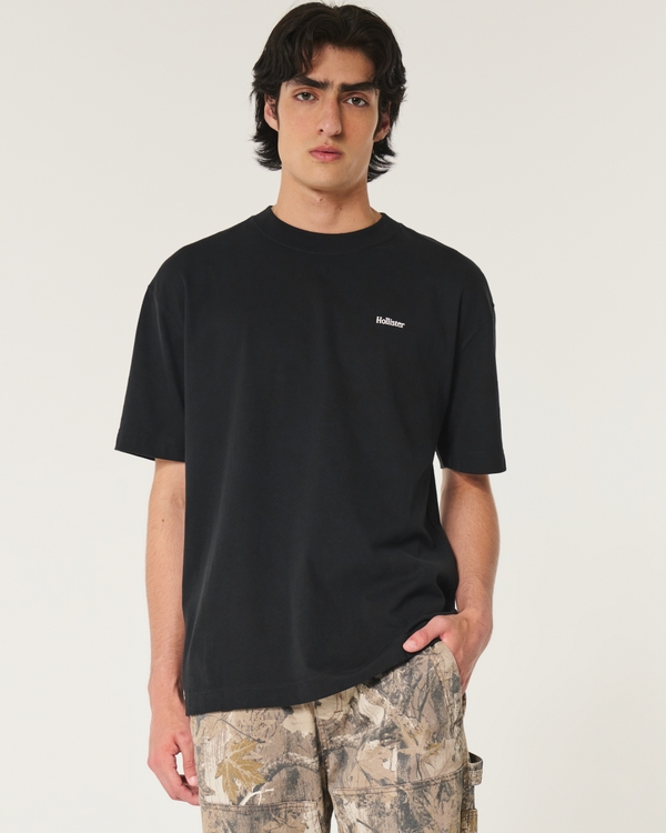 Mens Graphic Tees - Printed T-Shirts Mens | Hollister Co.