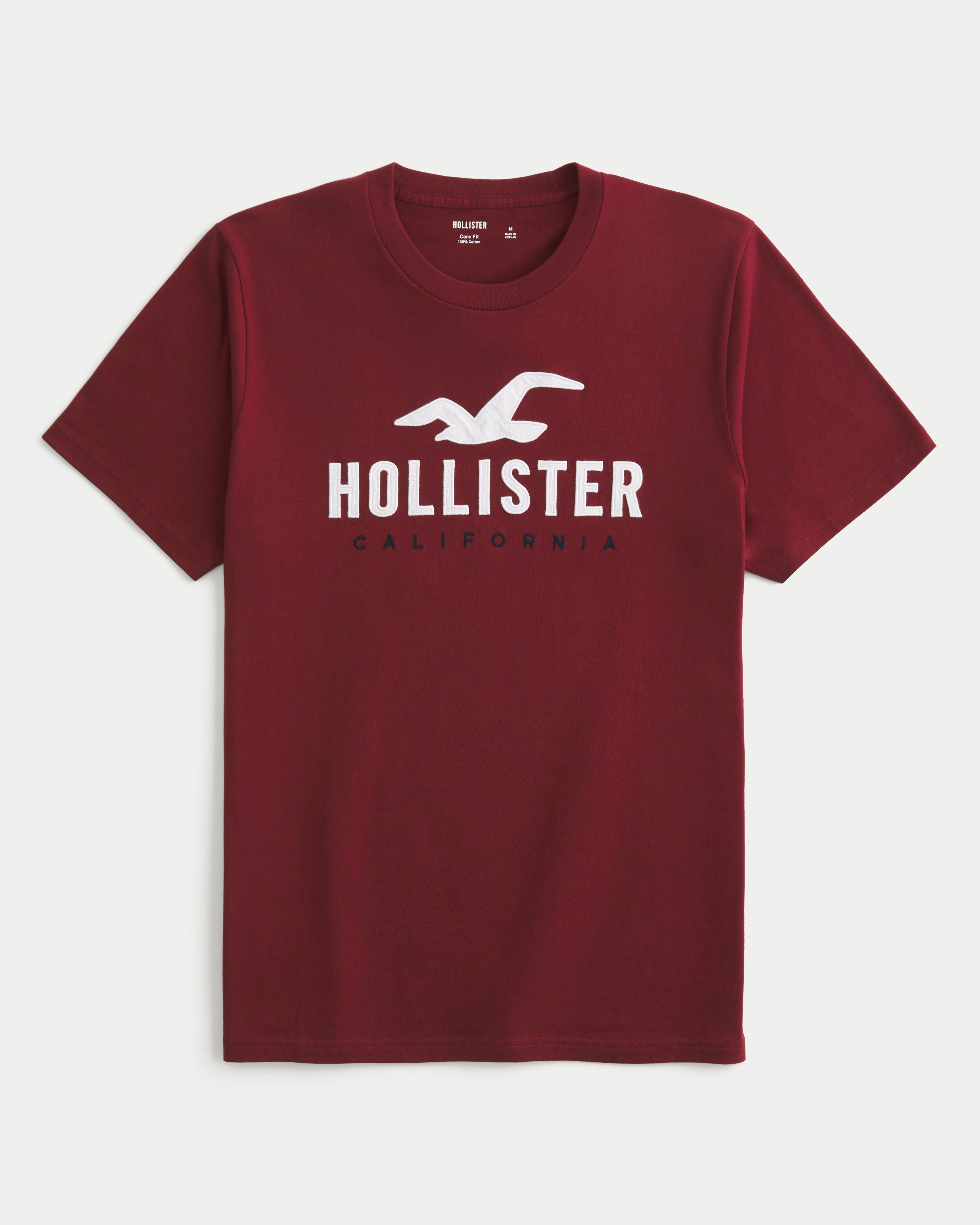 Men s Logo Graphic Tee Men s Tops HollisterCo